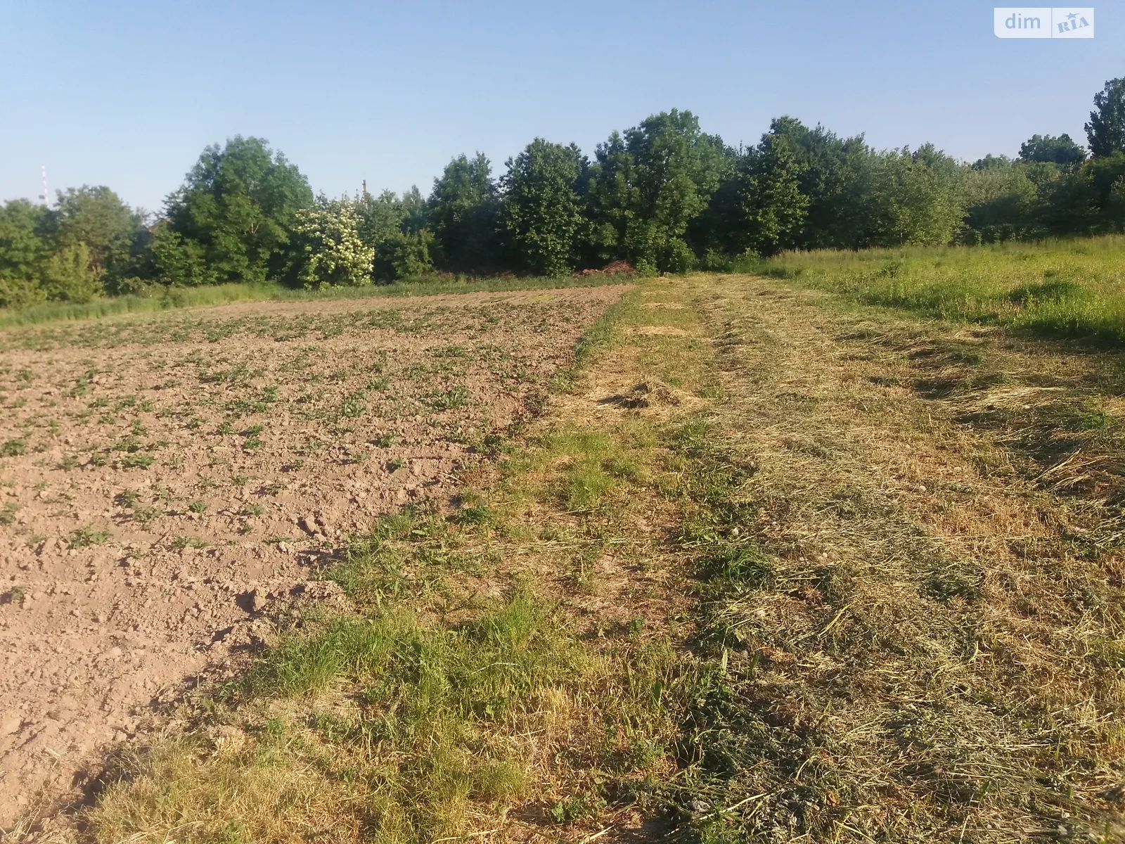 Продается земельный участок 20 соток в Винницкой области, цена: 32000 $ - фото 1