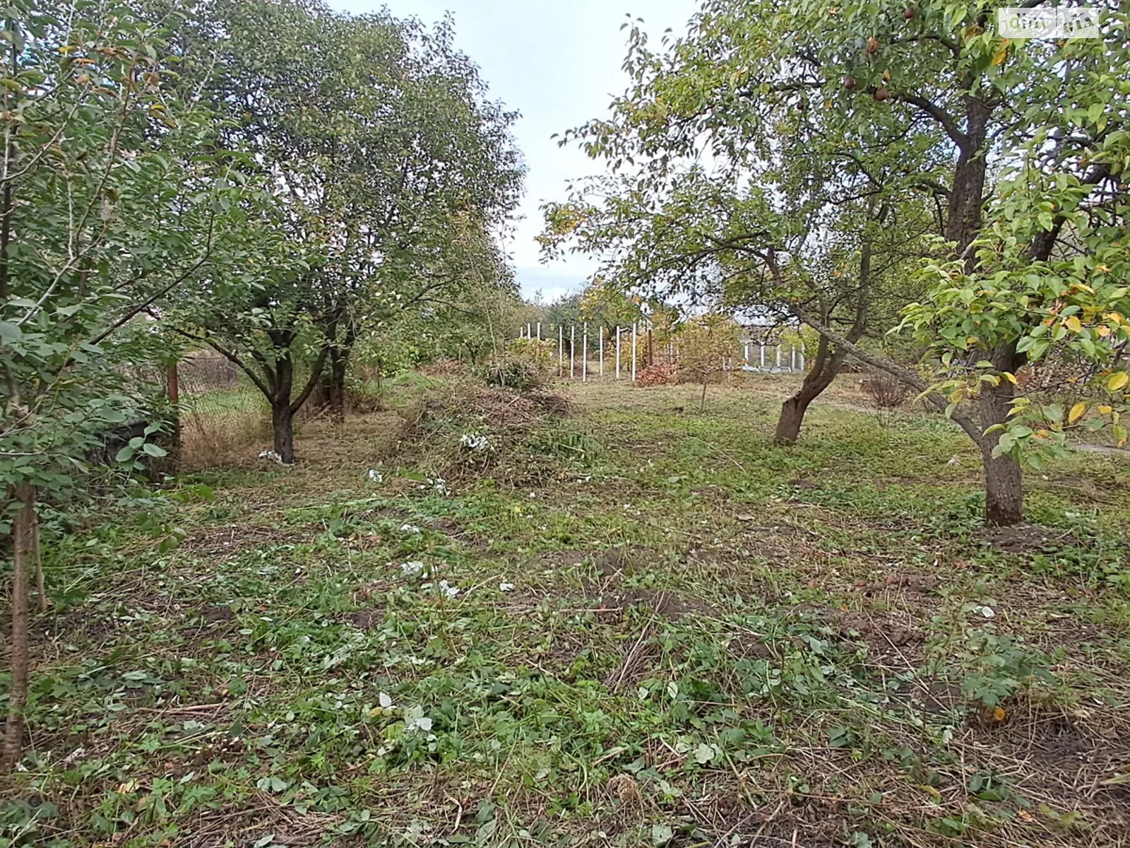 Продается земельный участок 6 соток в Тернопольской области, цена: 10500 $ - фото 1