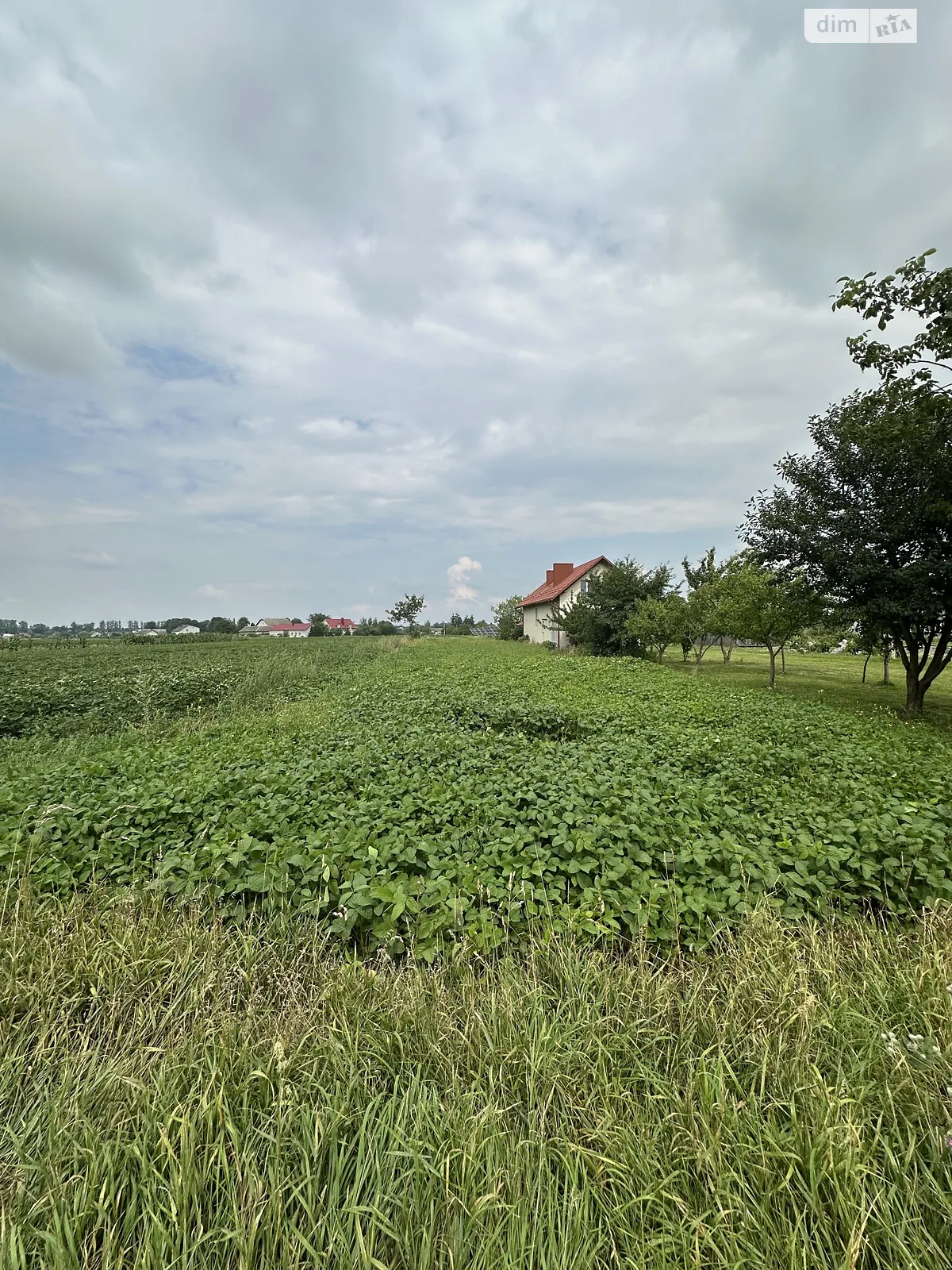 Продается земельный участок 15 соток в Тернопольской области, цена: 7000 $ - фото 1