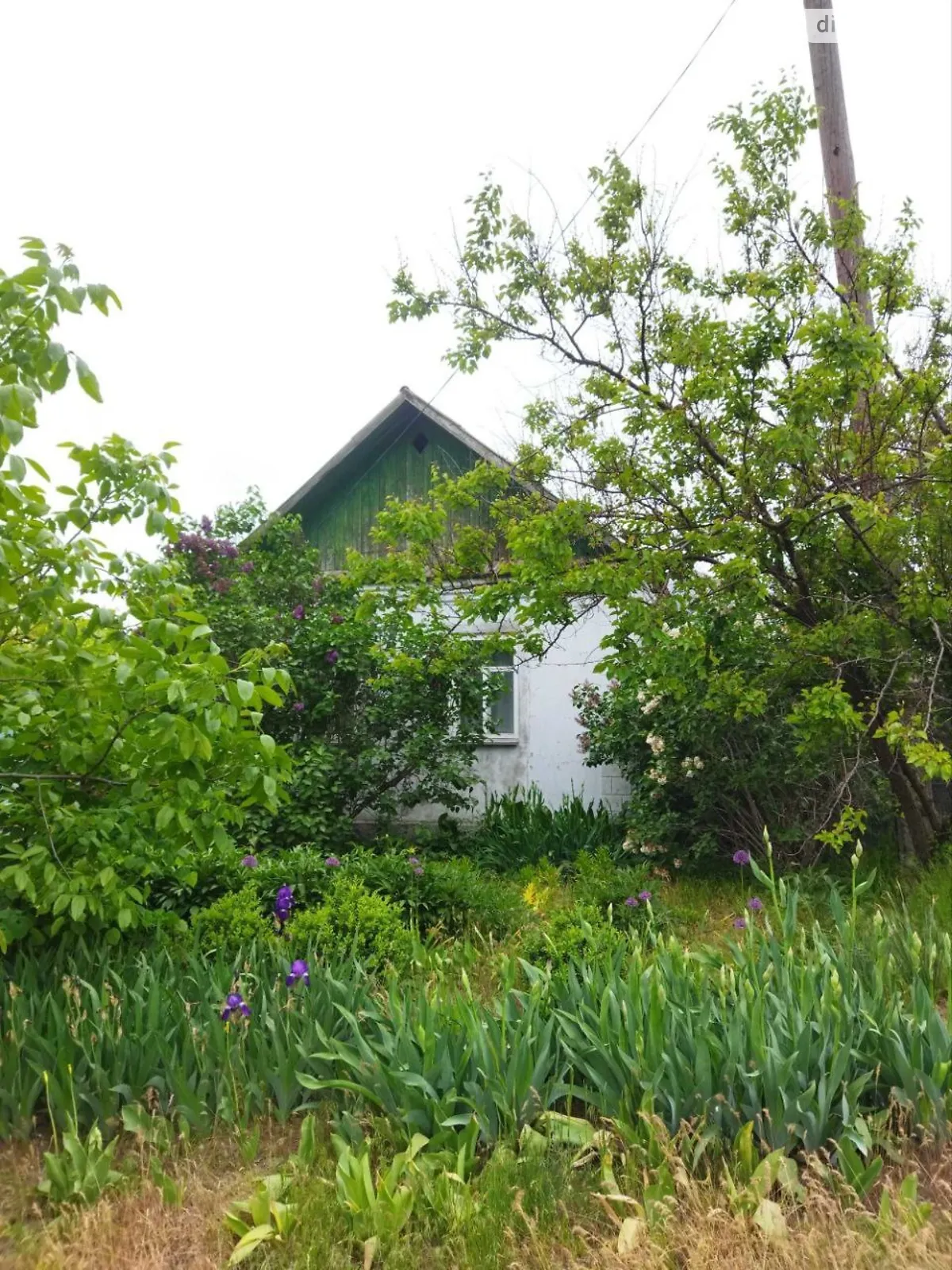 Продается одноэтажный дом 50 кв. м с беседкой, цена: 30000 $ - фото 1