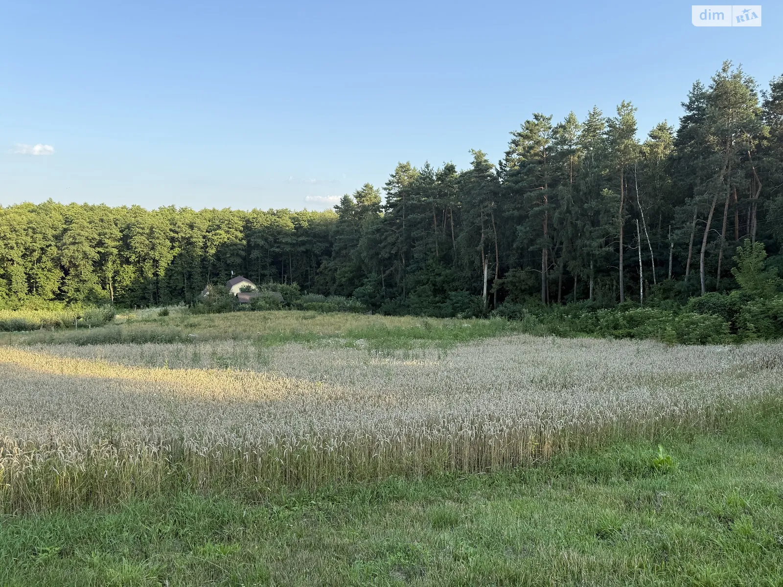 Бохоники, цена: 75000 $ - фото 1