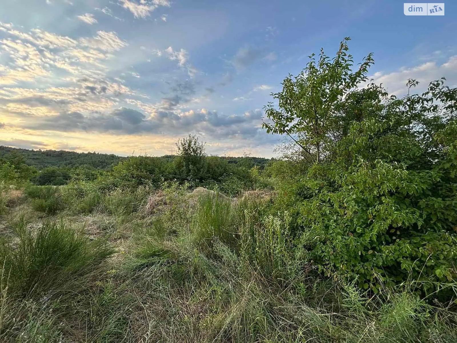 Продается земельный участок 15 соток в Закарпатской области, цена: 20000 $ - фото 1