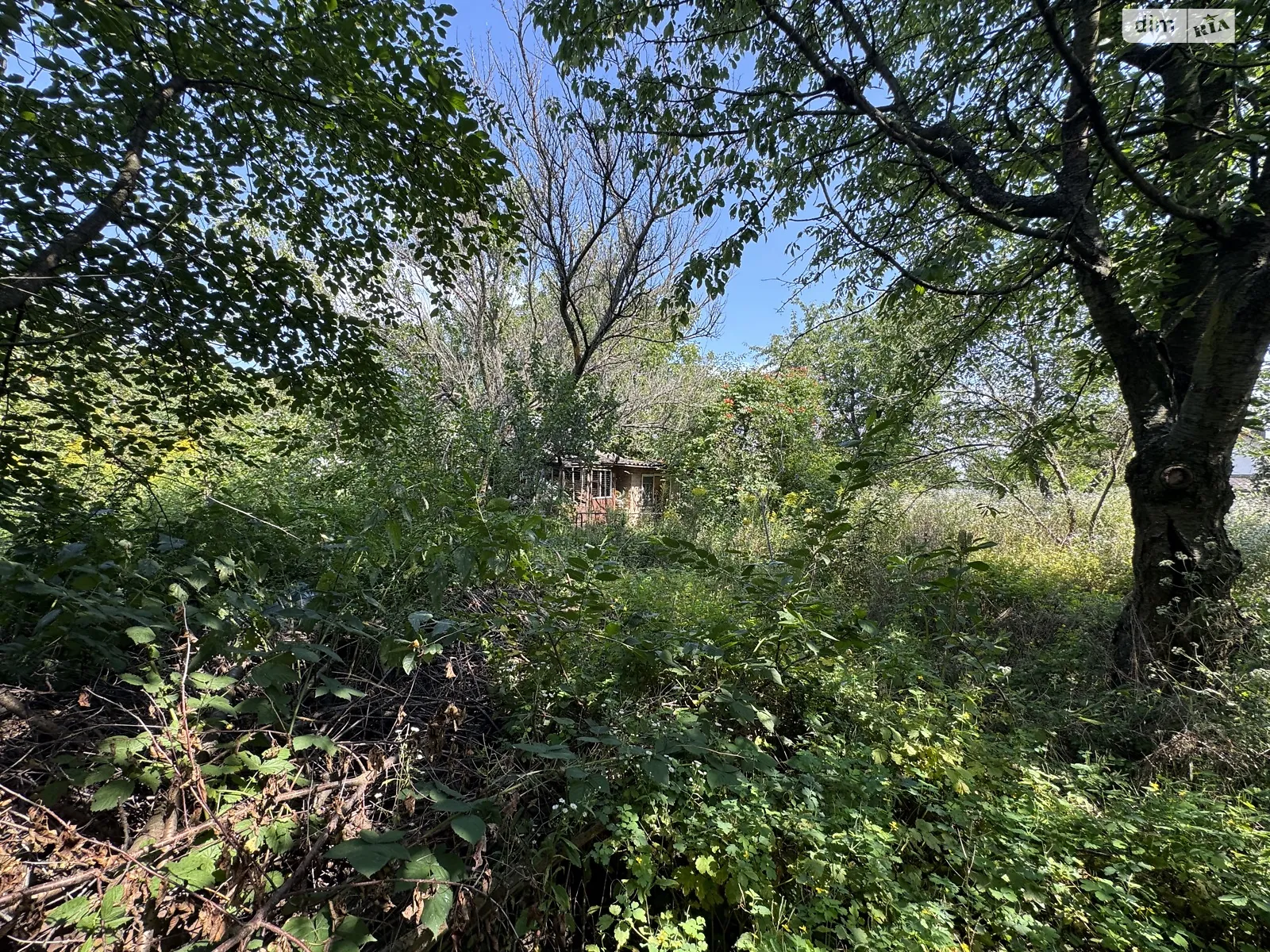 Продается земельный участок 7 соток в Винницкой области, цена: 30000 $ - фото 1