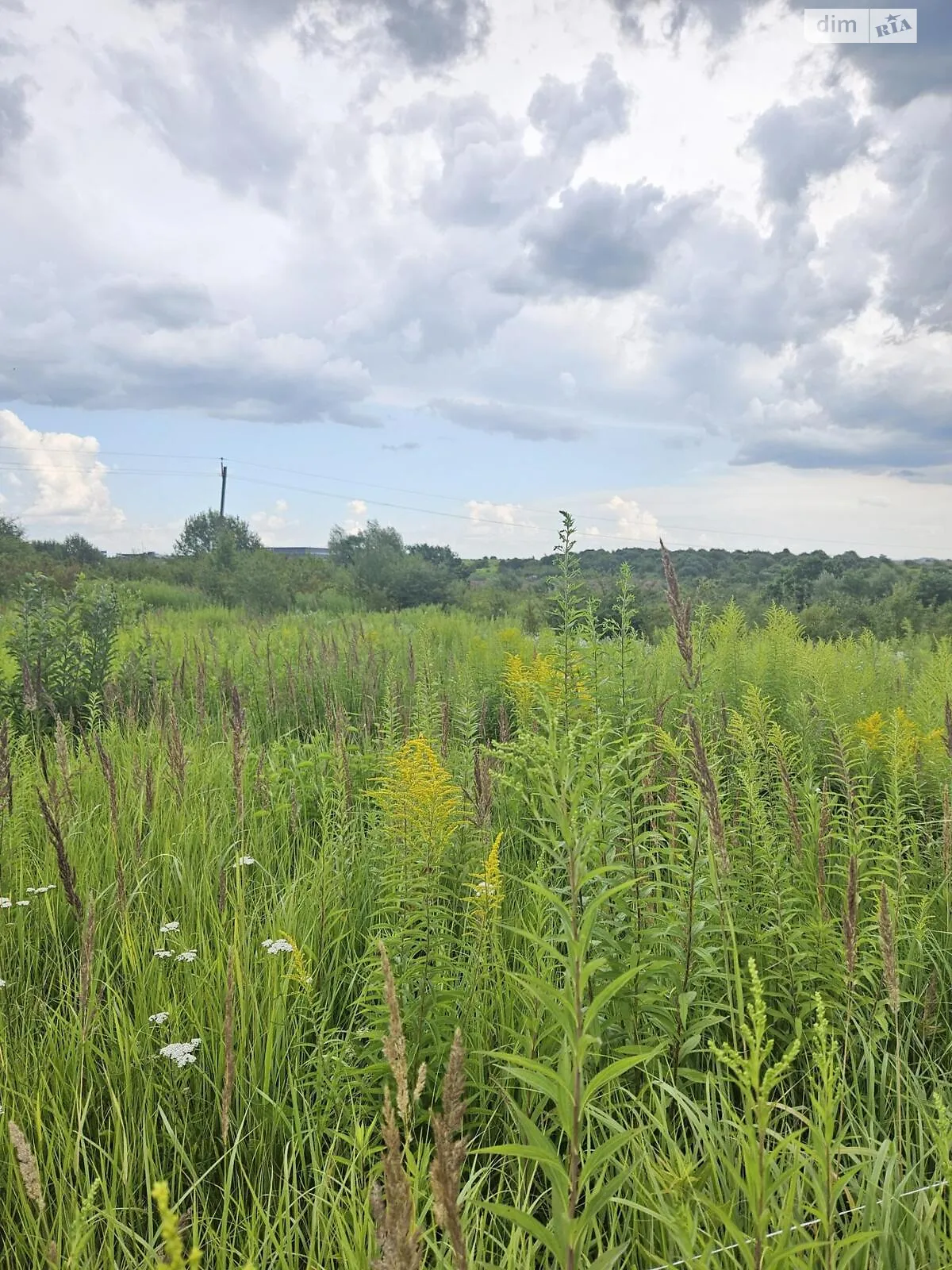 Продается земельный участок 8 соток в Львовской области, цена: 46000 $ - фото 1