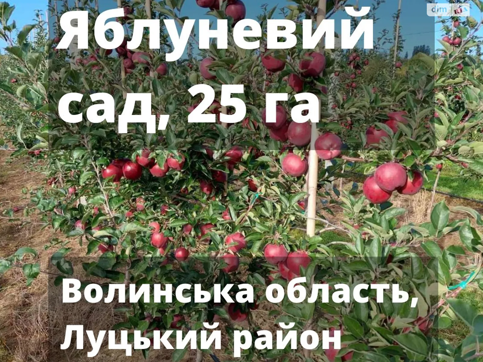 Промінь, цена: 900000 $ - фото 1