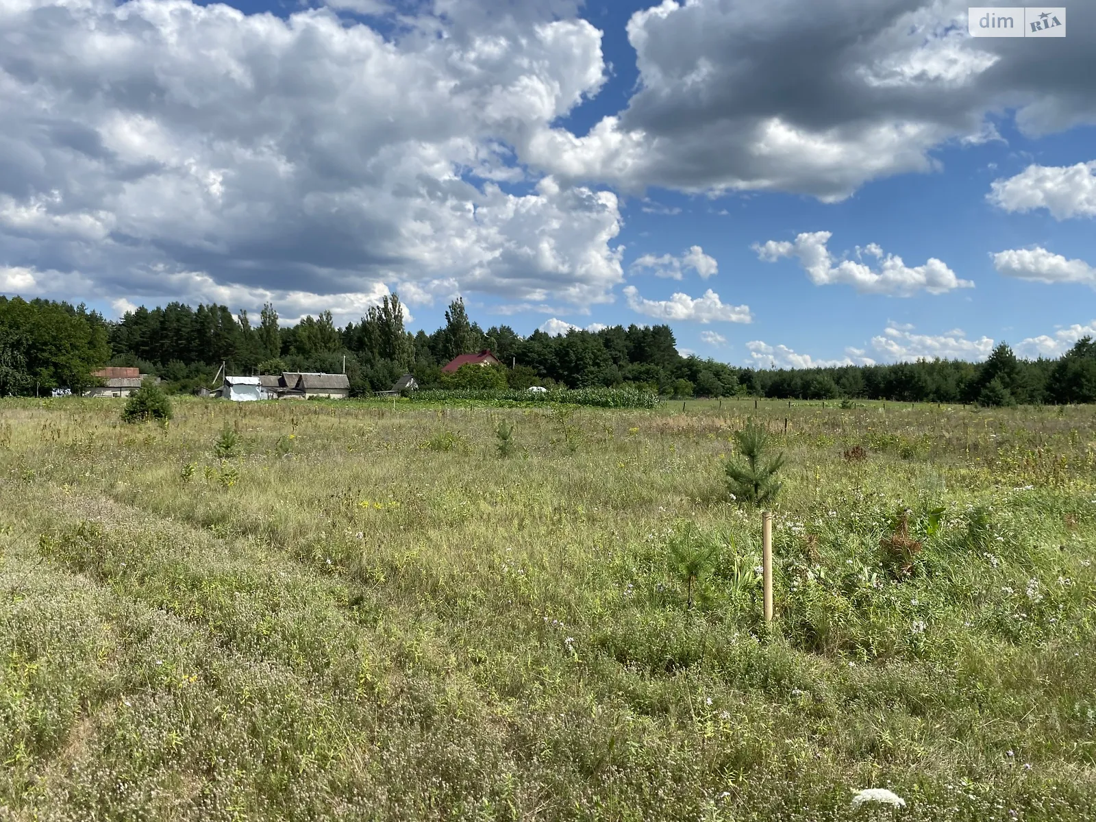 Продается земельный участок 12 соток в Ровенской области, цена: 4800 $ - фото 1