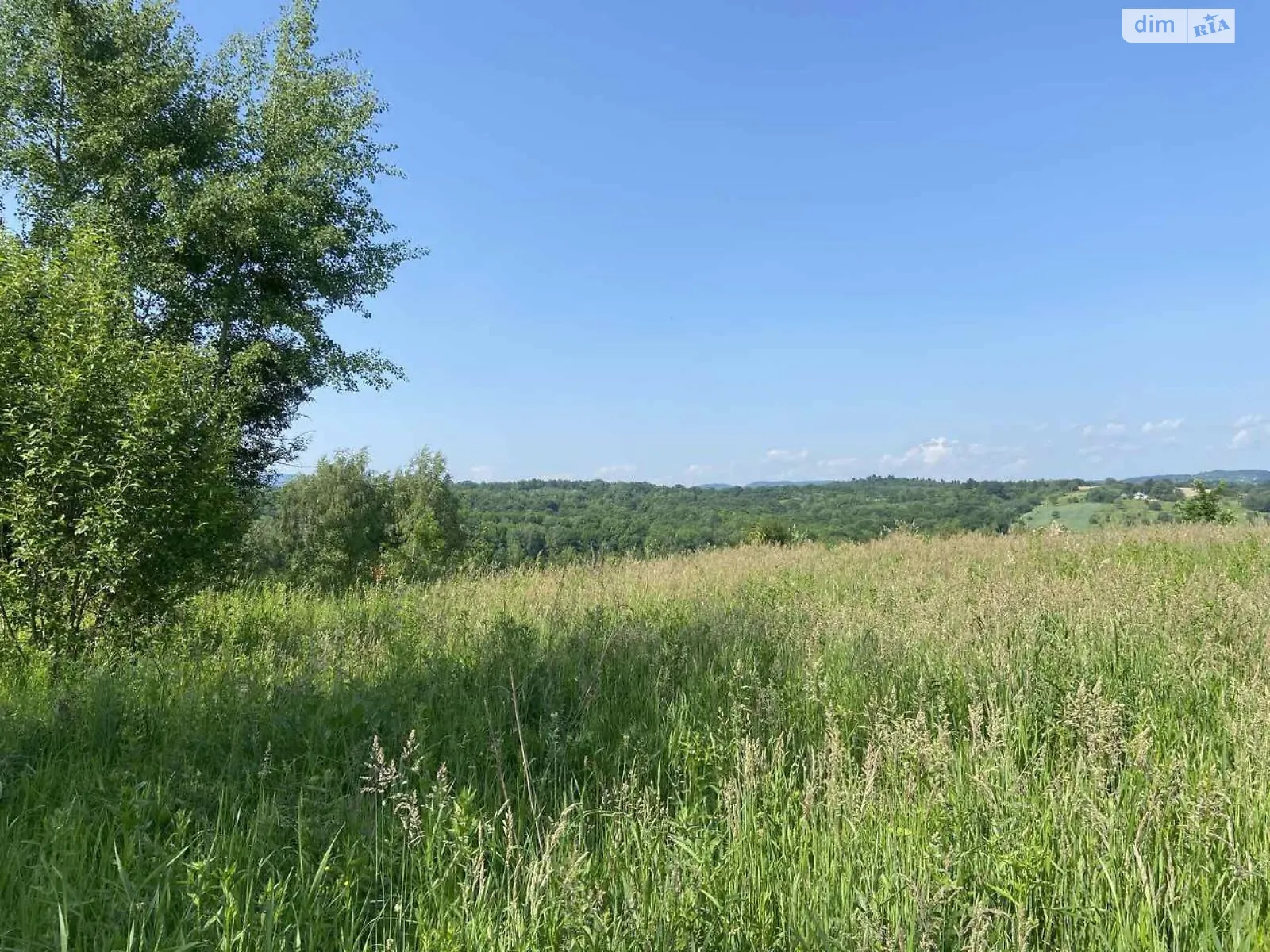 Продається земельна ділянка 25 соток у Івано-Франківській області, цена: 25000 $ - фото 1