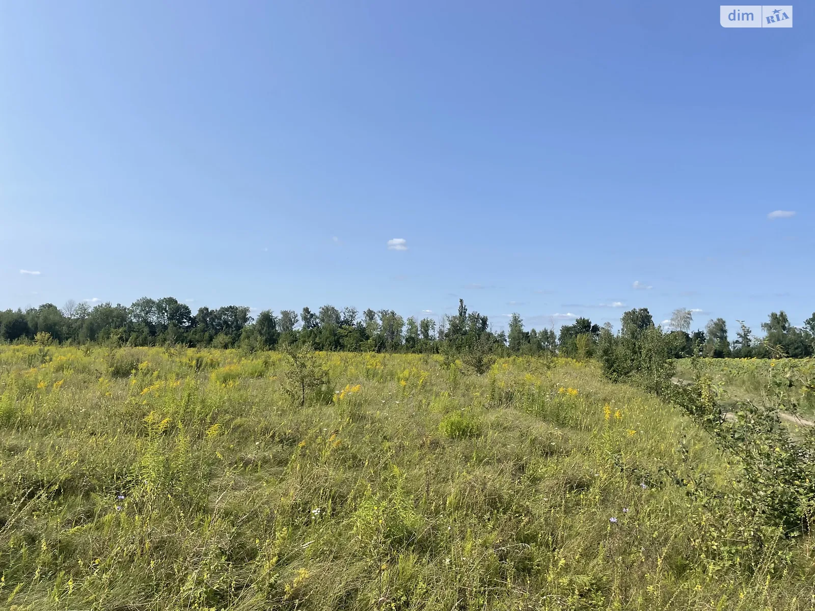 Продается земельный участок 8 соток в Винницкой области, цена: 4500 $ - фото 1