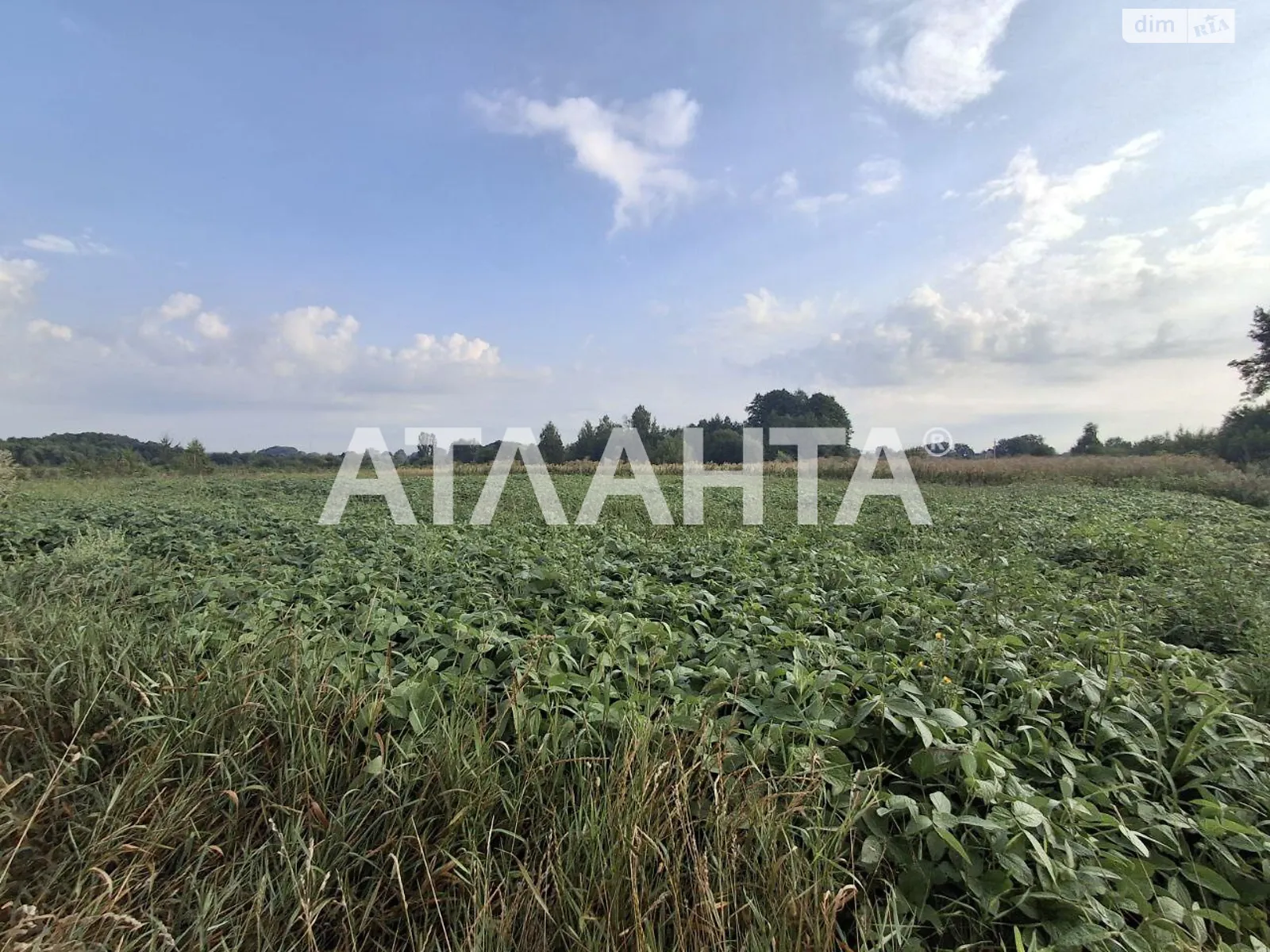 Продається земельна ділянка 14.76 соток у Вінницькій області, цена: 9000 $ - фото 1