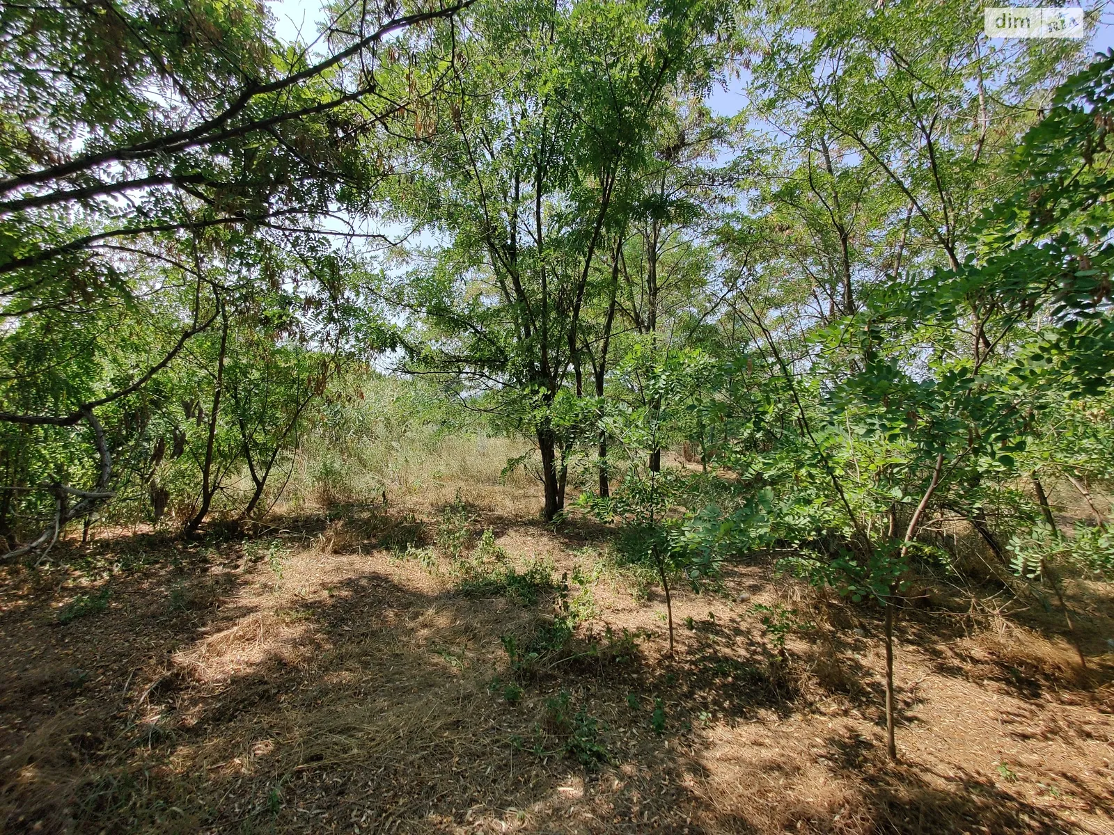 Продается земельный участок 10 соток в Днепропетровской области, цена: 20000 $ - фото 1