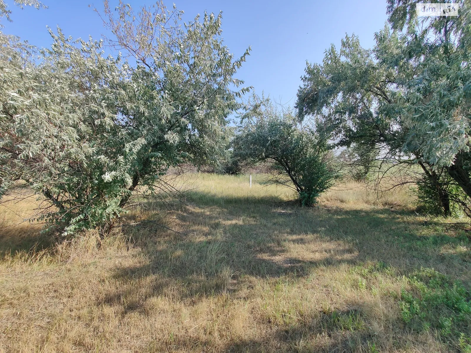 Продается земельный участок 10 соток в Днепропетровской области, цена: 10000 $ - фото 1