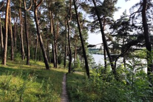 Продаж будинку, Тернопільська, Стегниківці, вулиця Вишнева