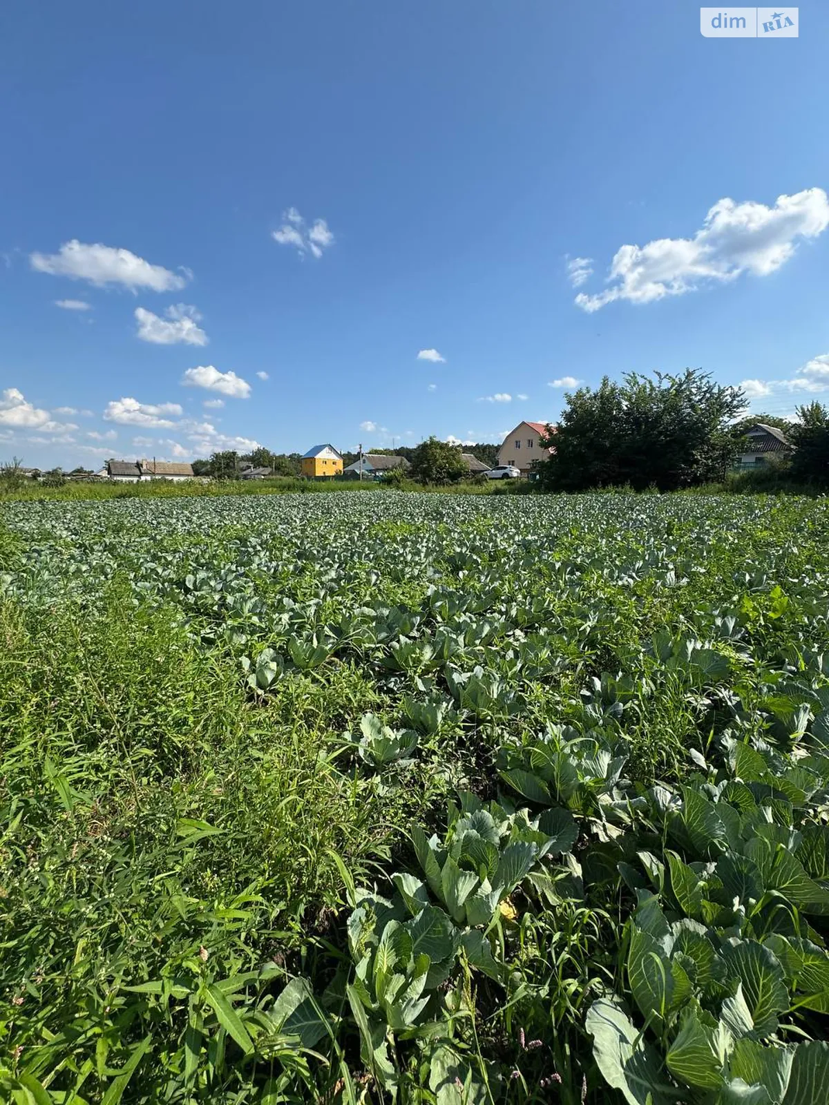 Селище (Тывров), цена: 15000 $ - фото 1