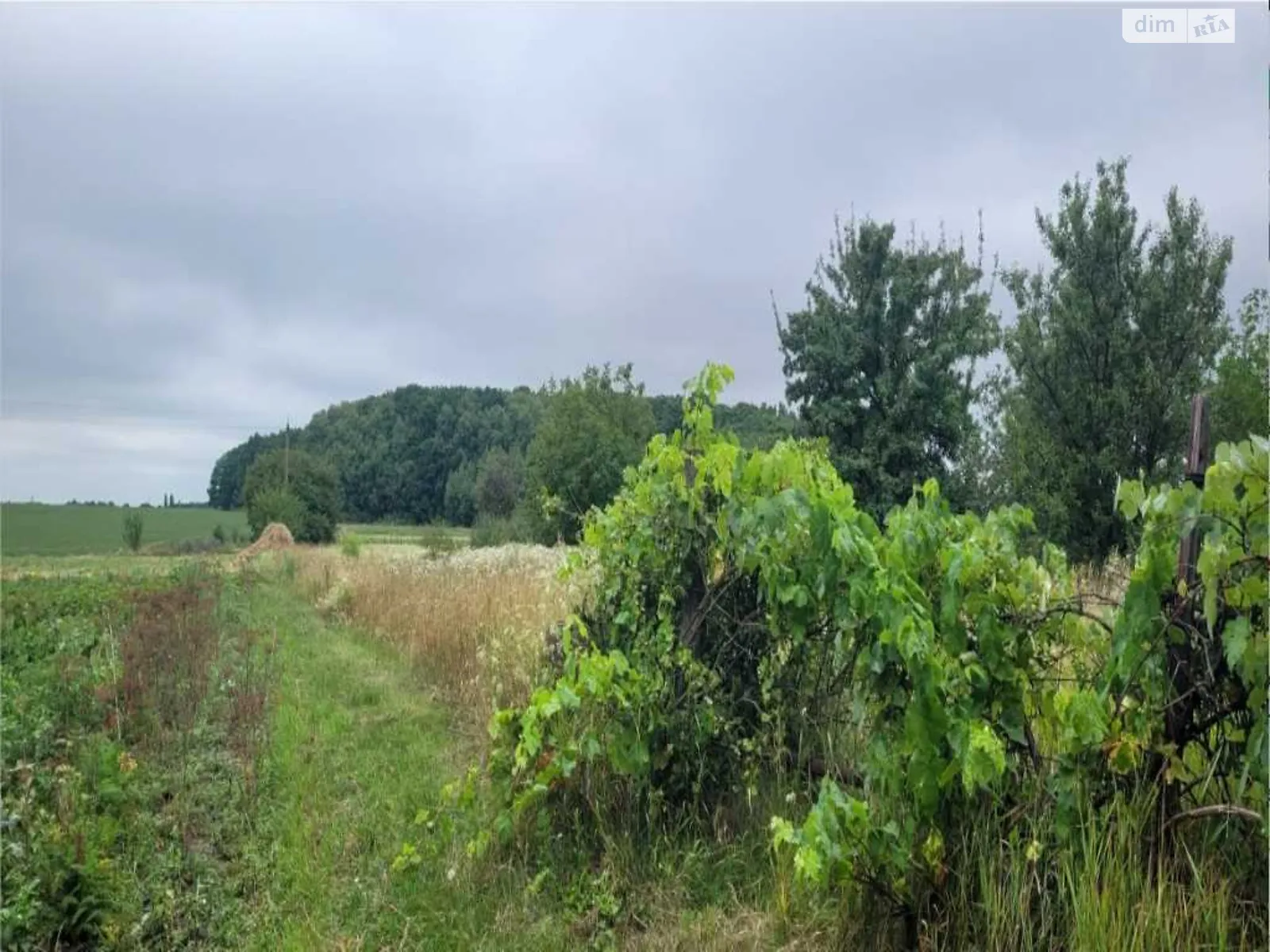 Продается часть дома 24.8 кв. м с гаражом, цена: 17000 $ - фото 1