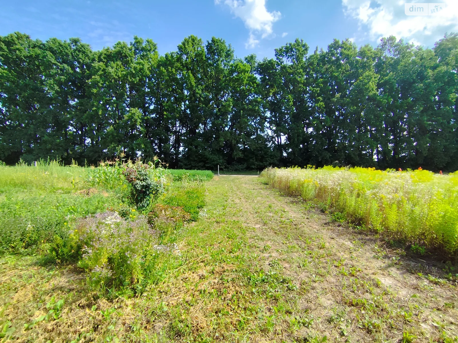 Продается земельный участок 6 соток в Винницкой области, цена: 16000 $ - фото 1