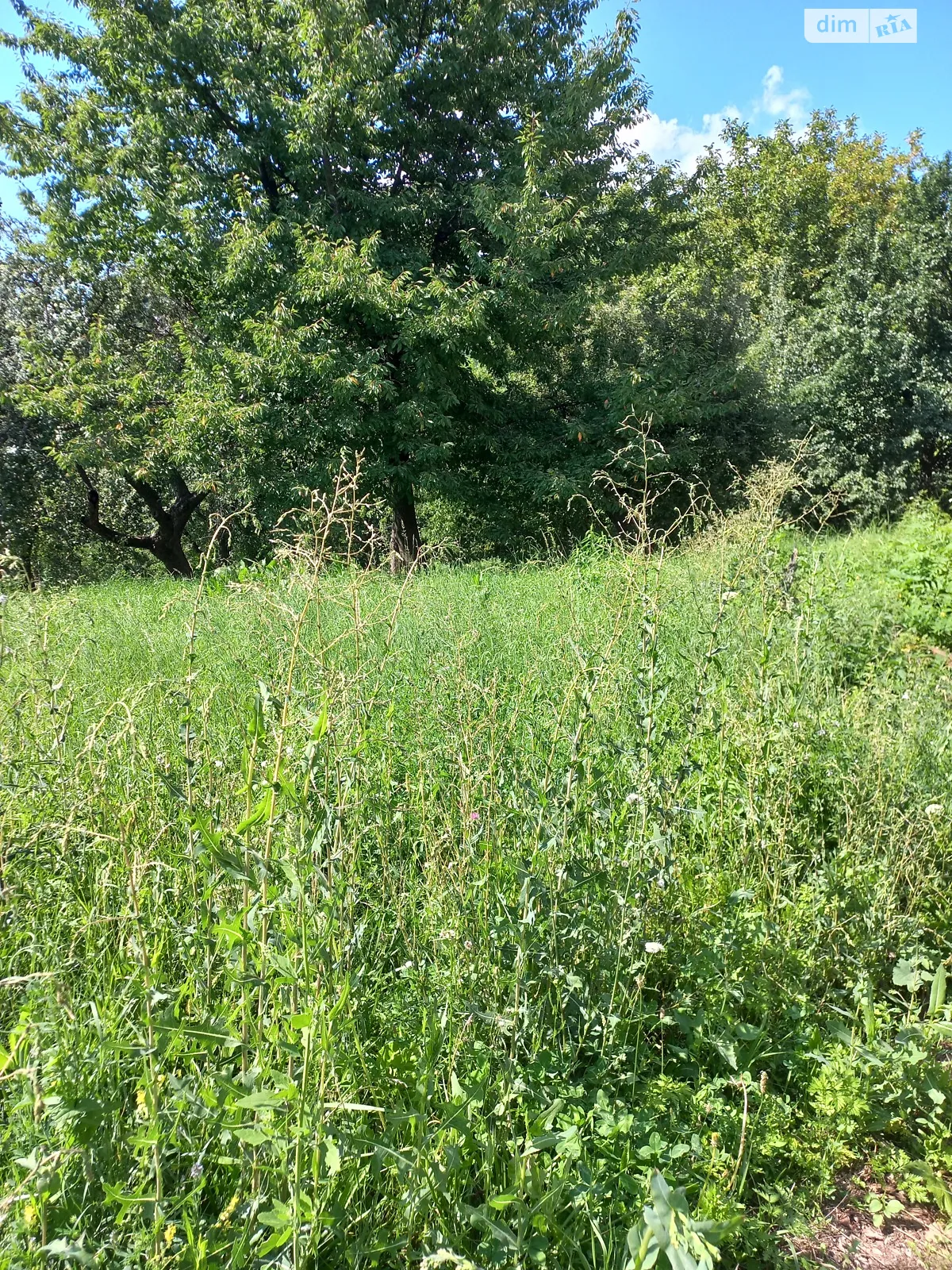 Продается земельный участок 37.92 соток в Винницкой области, цена: 55000 $ - фото 1