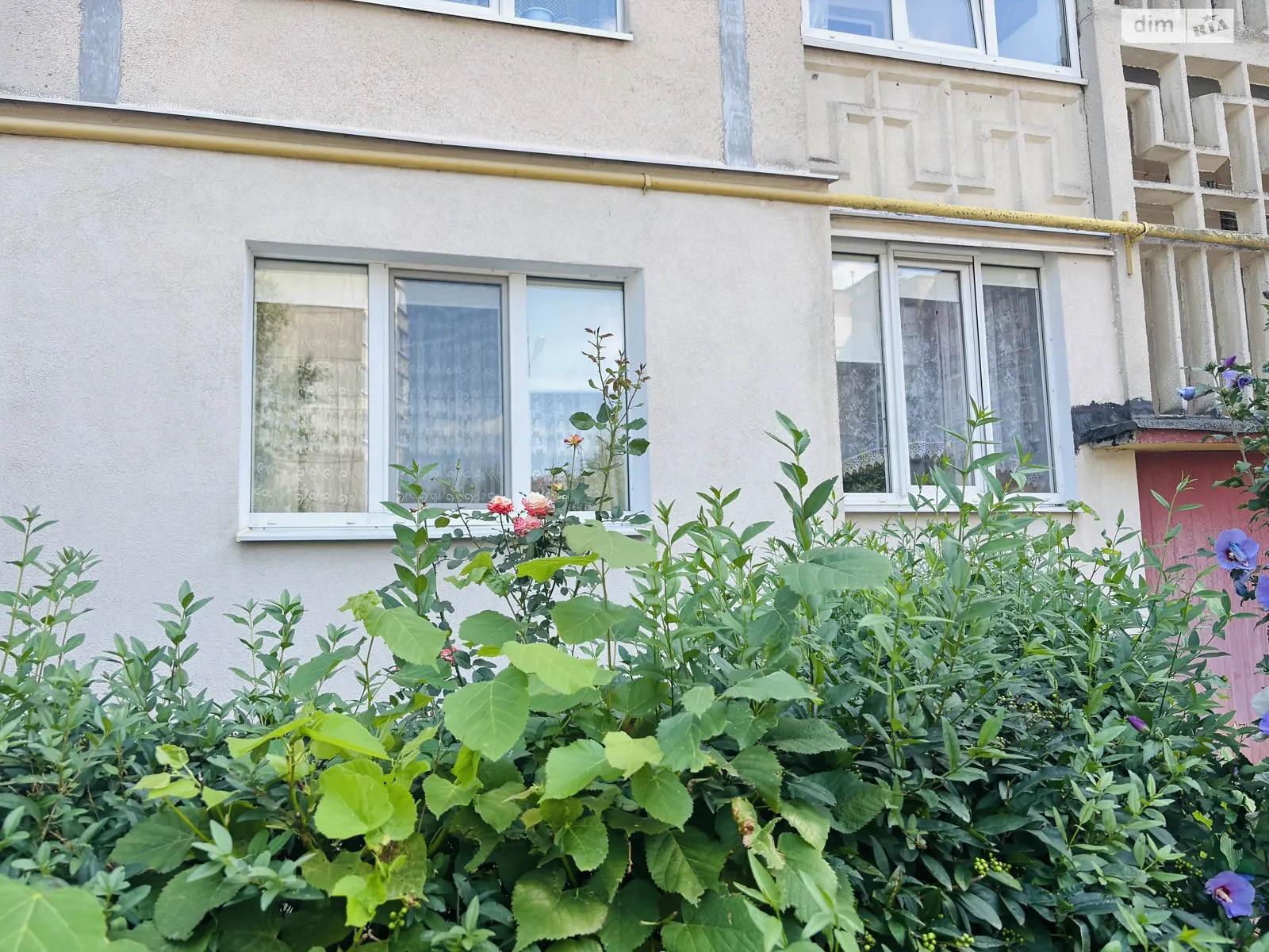 3-комнатная квартира 65.2 кв. м в Луцке, ул. Воинов-афганцев, 4 - фото 1