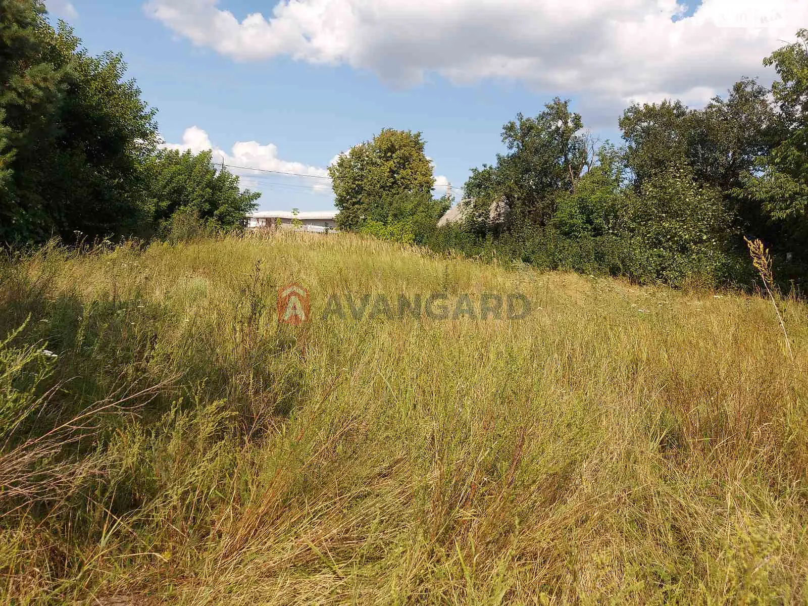 Продается земельный участок 15 соток в Киевской области, цена: 50000 $ - фото 1