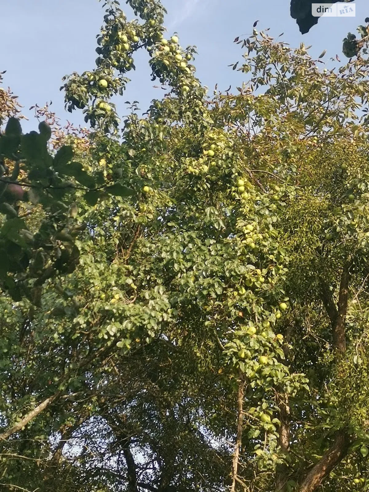 Продается земельный участок 6 соток в Львовской области, цена: 18000 $ - фото 1