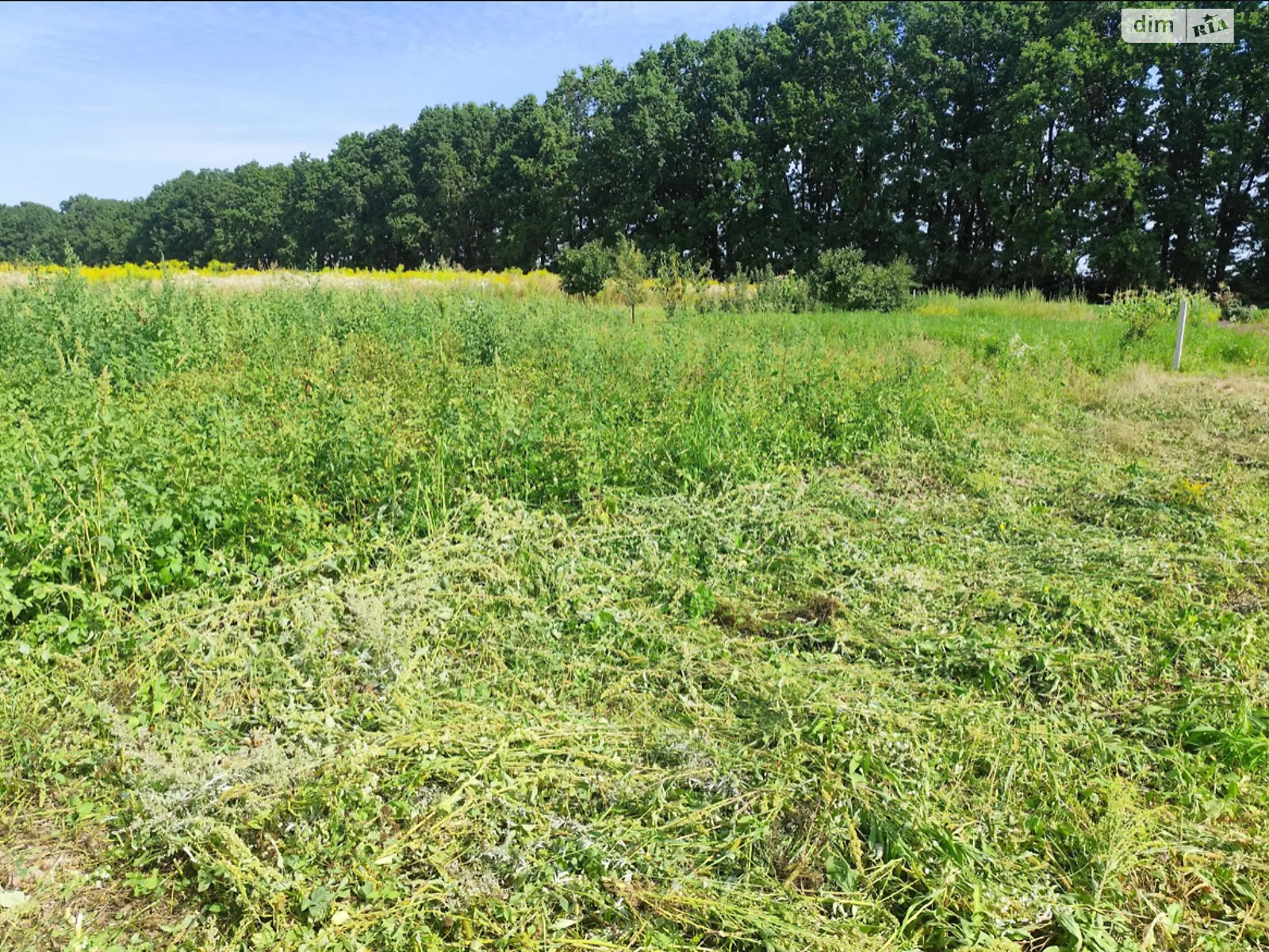 Продается земельный участок 6 соток в Винницкой области, цена: 16000 $ - фото 1