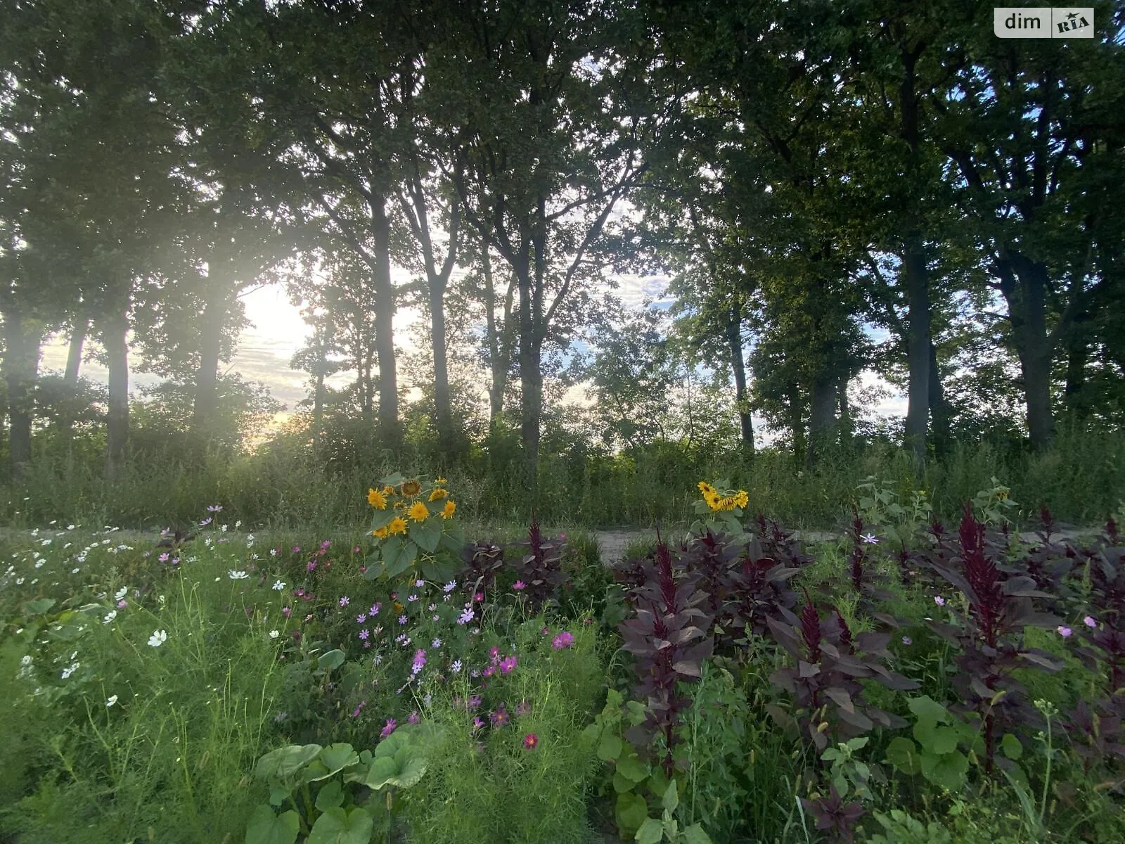 Продается земельный участок 6 соток в Винницкой области, цена: 16000 $ - фото 1
