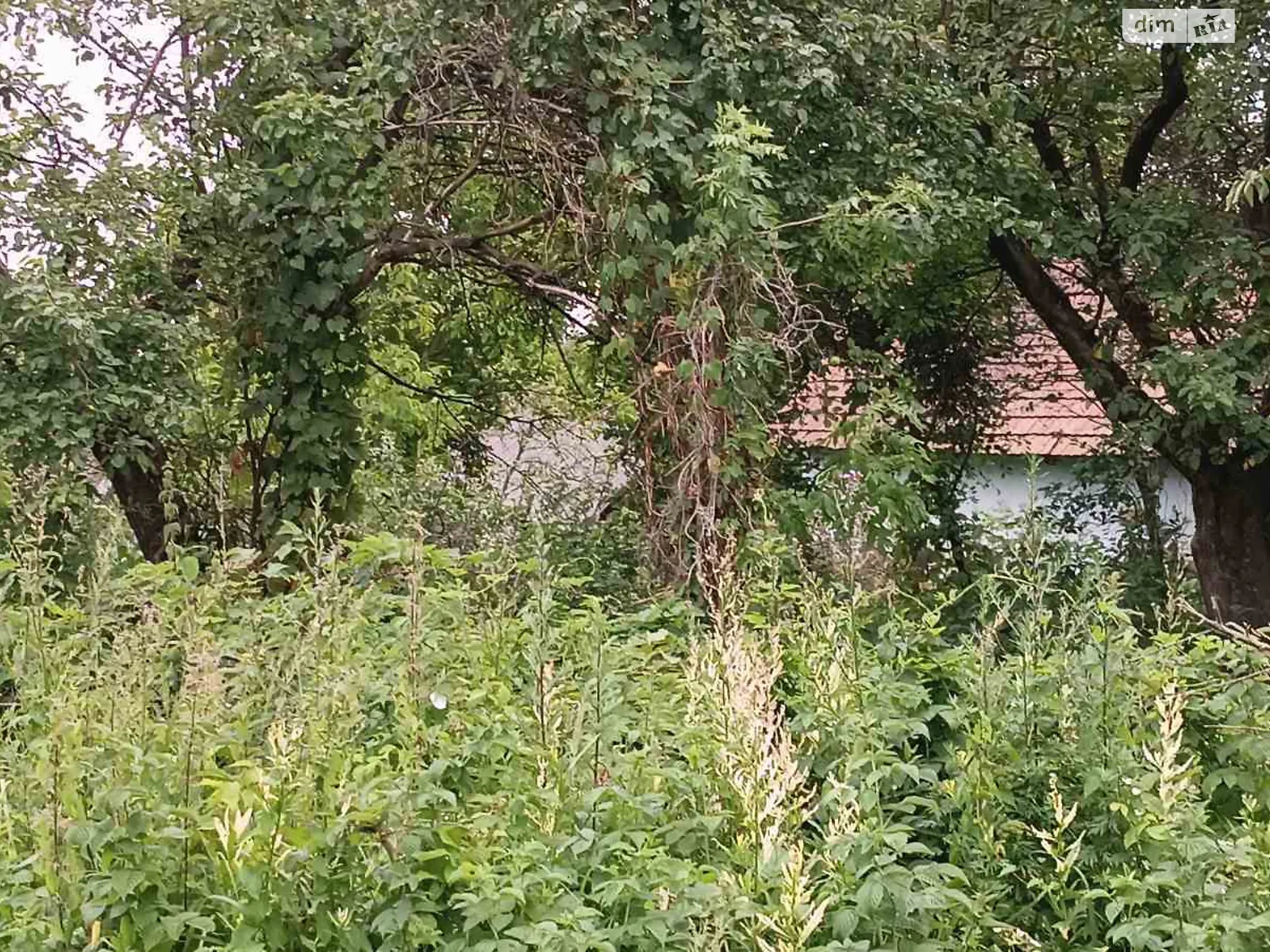 вулиця Зелена Волчищовичи, цена: 15000 $ - фото 1