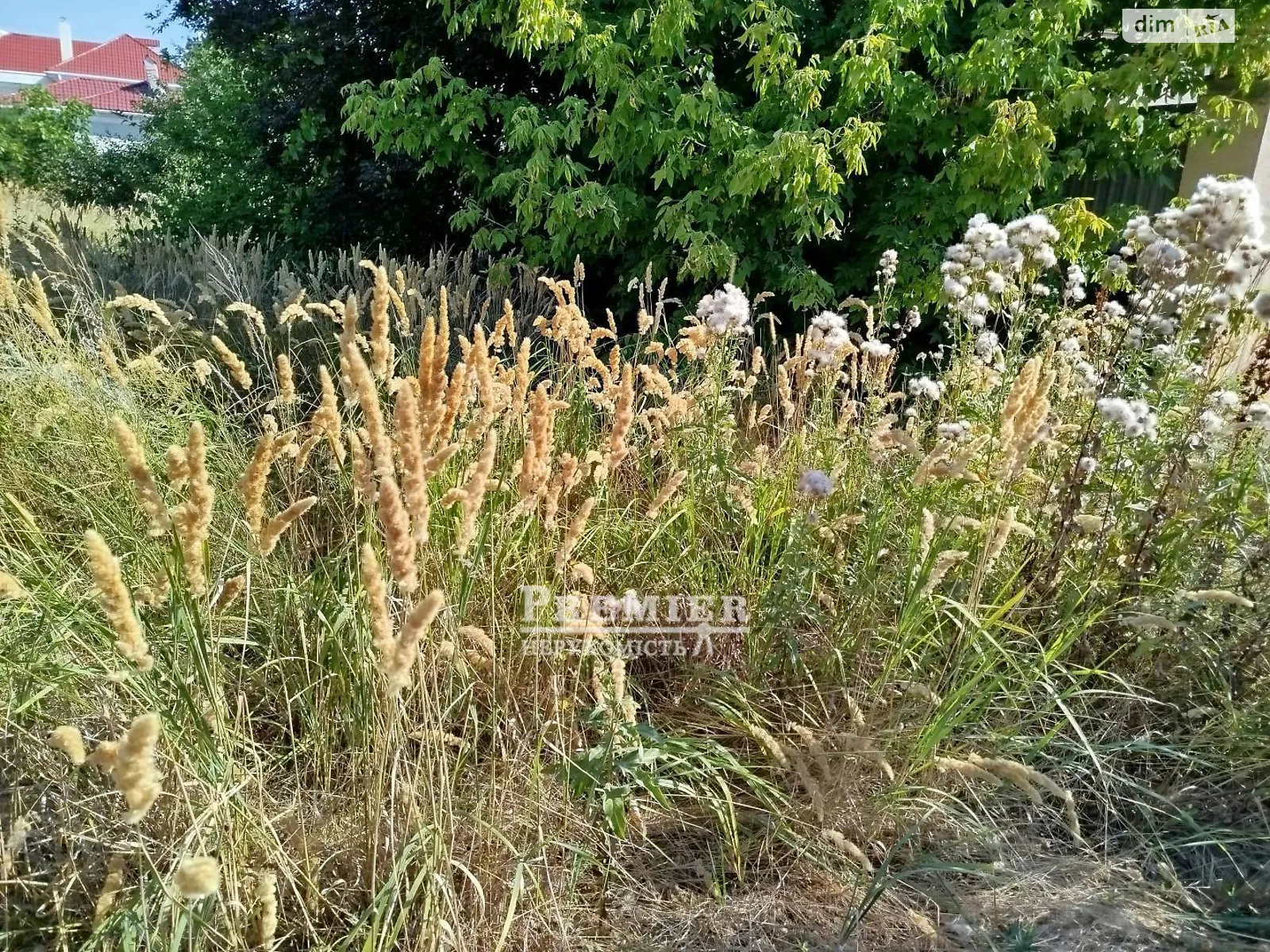 Продается земельный участок 10 соток в Одесской области, цена: 9000 $ - фото 1