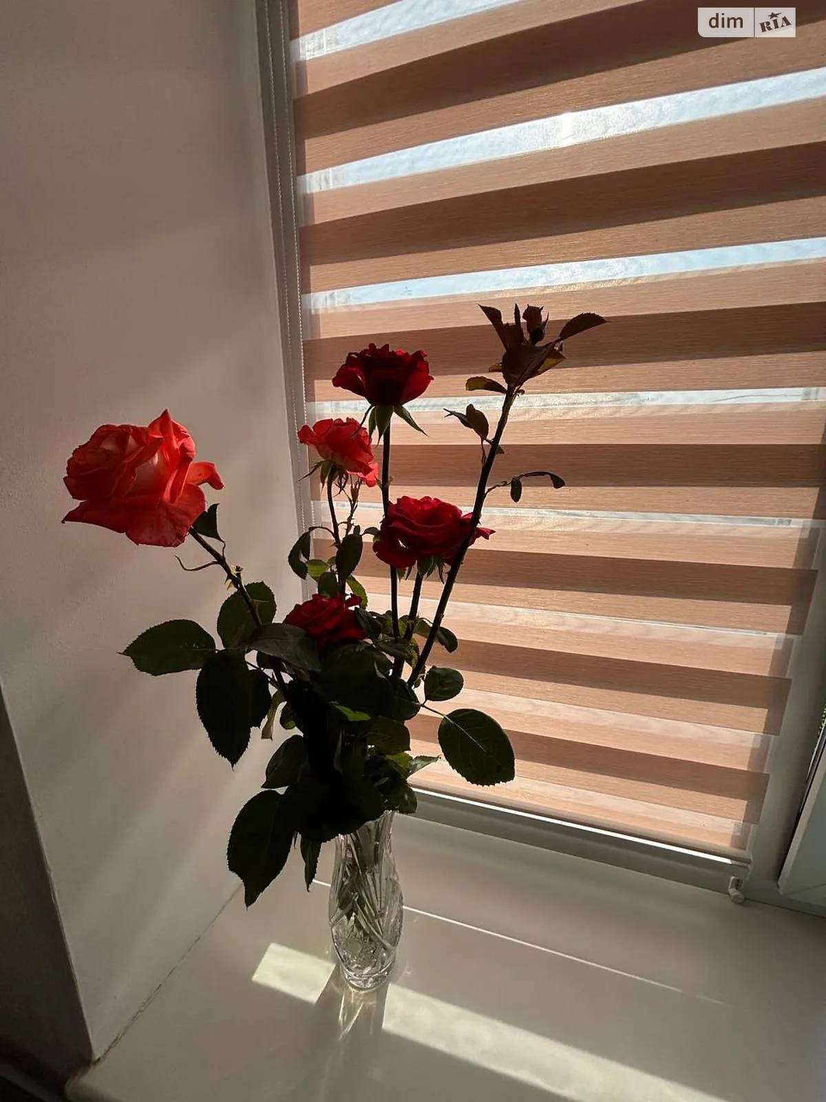 ул. Васильковая Масложир комбинат Винница - фото 2