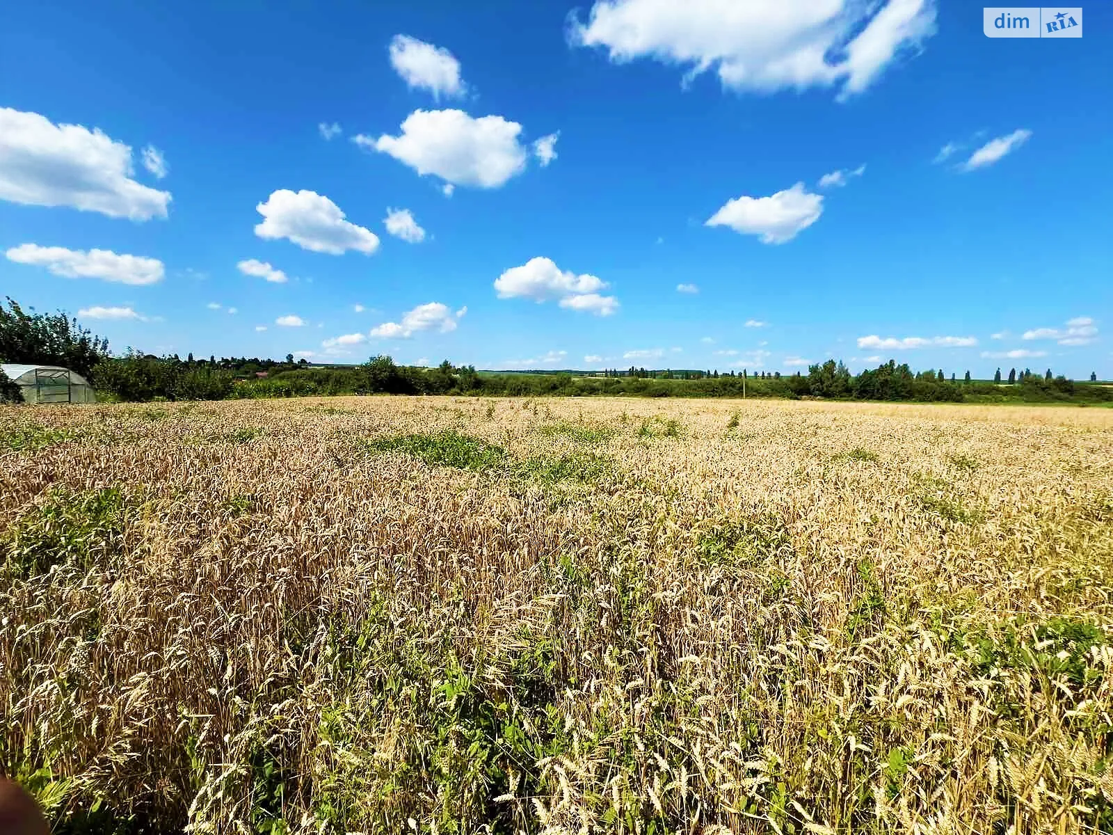 Продается одноэтажный дом 70 кв. м с мансардой, цена: 4999 $ - фото 1