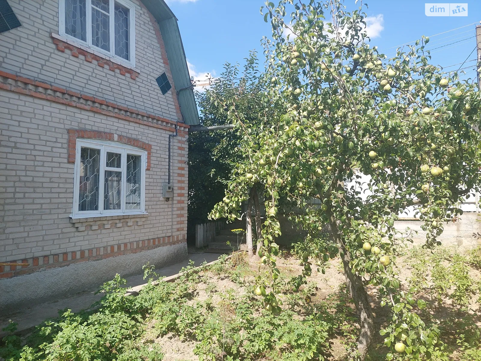 ул. Виноградная Пирогово Винница - фото 3