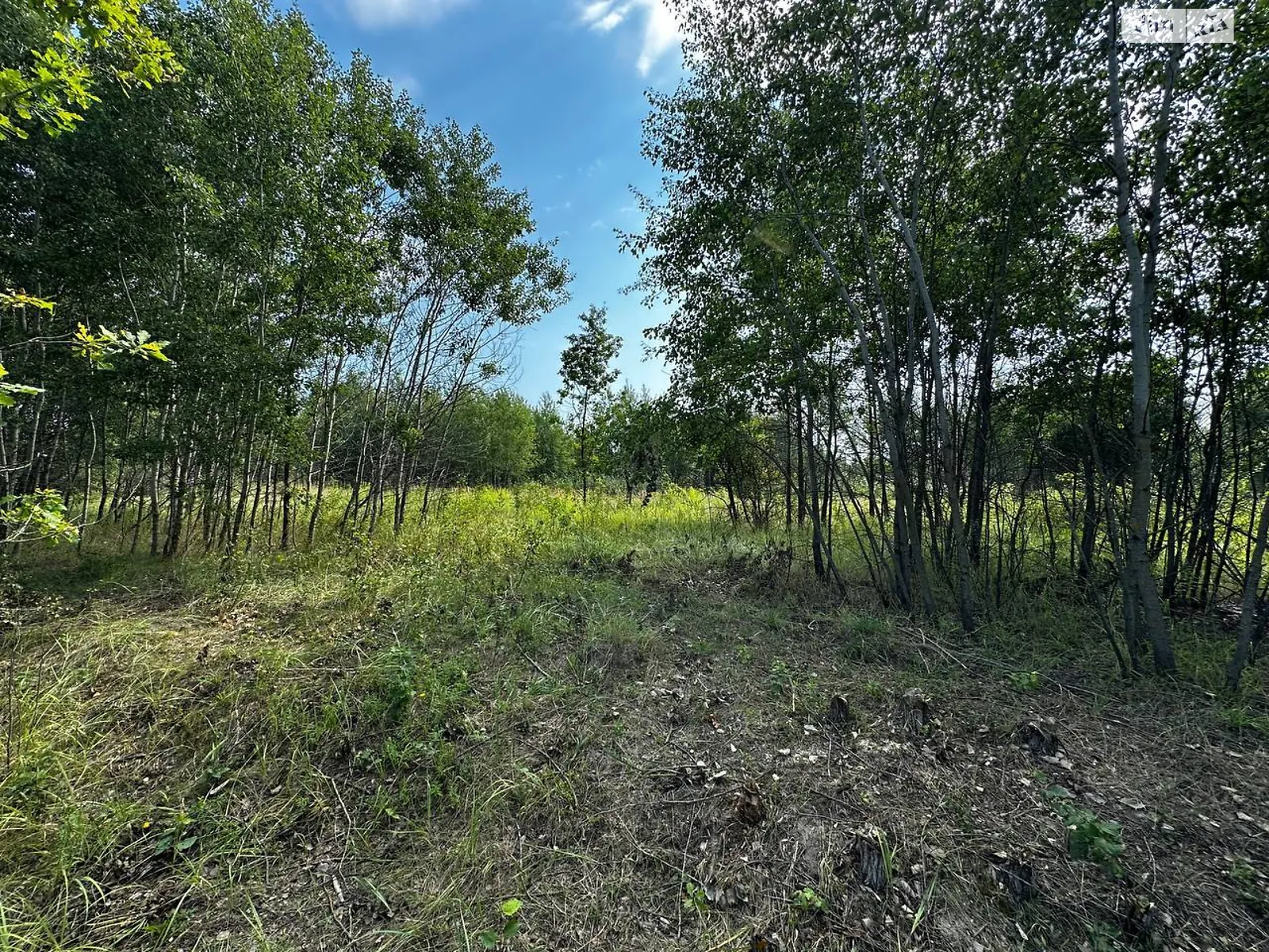 Михайловка-Рубежовка (Ирпень), цена: 7000 $ - фото 1