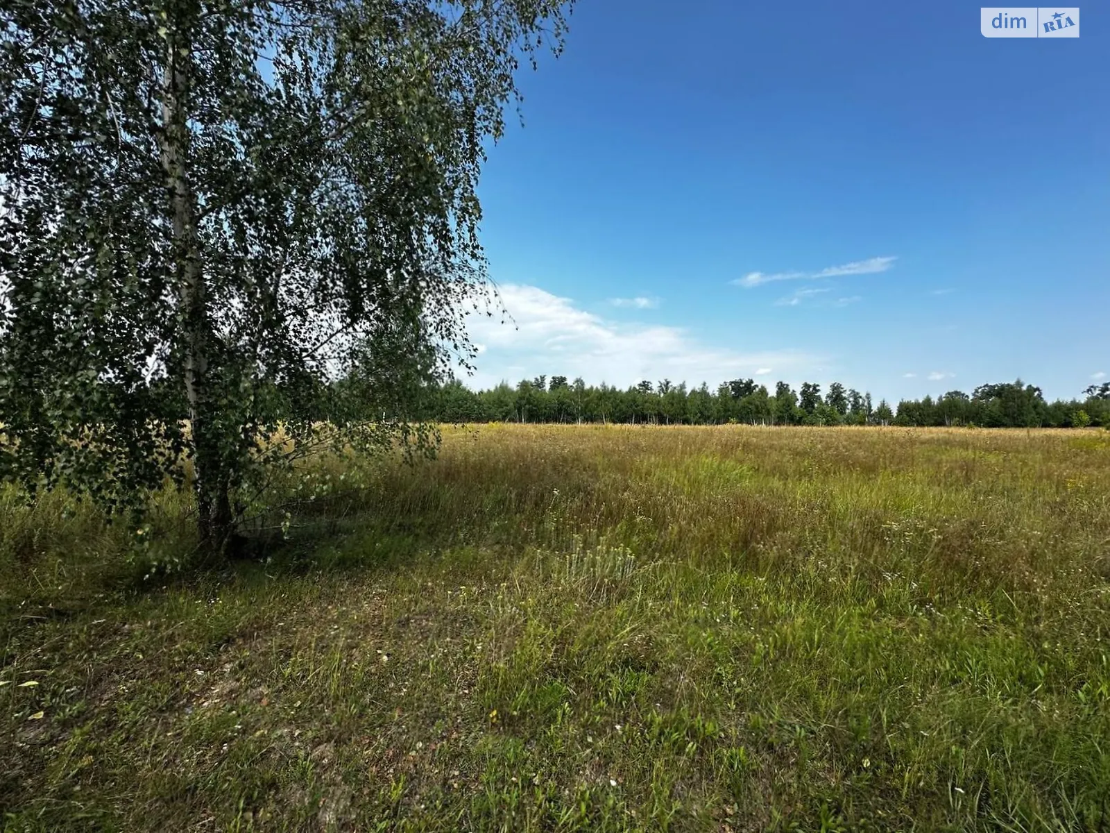 Михайловка-Рубежовка (Ирпень), цена: 25000 $ - фото 1