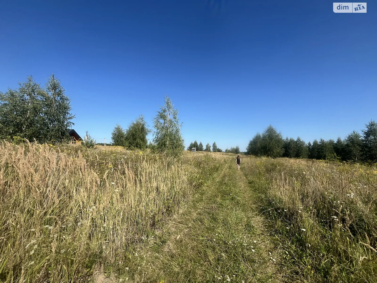 Лесовые Гриновцы, цена: 10000 $ - фото 1