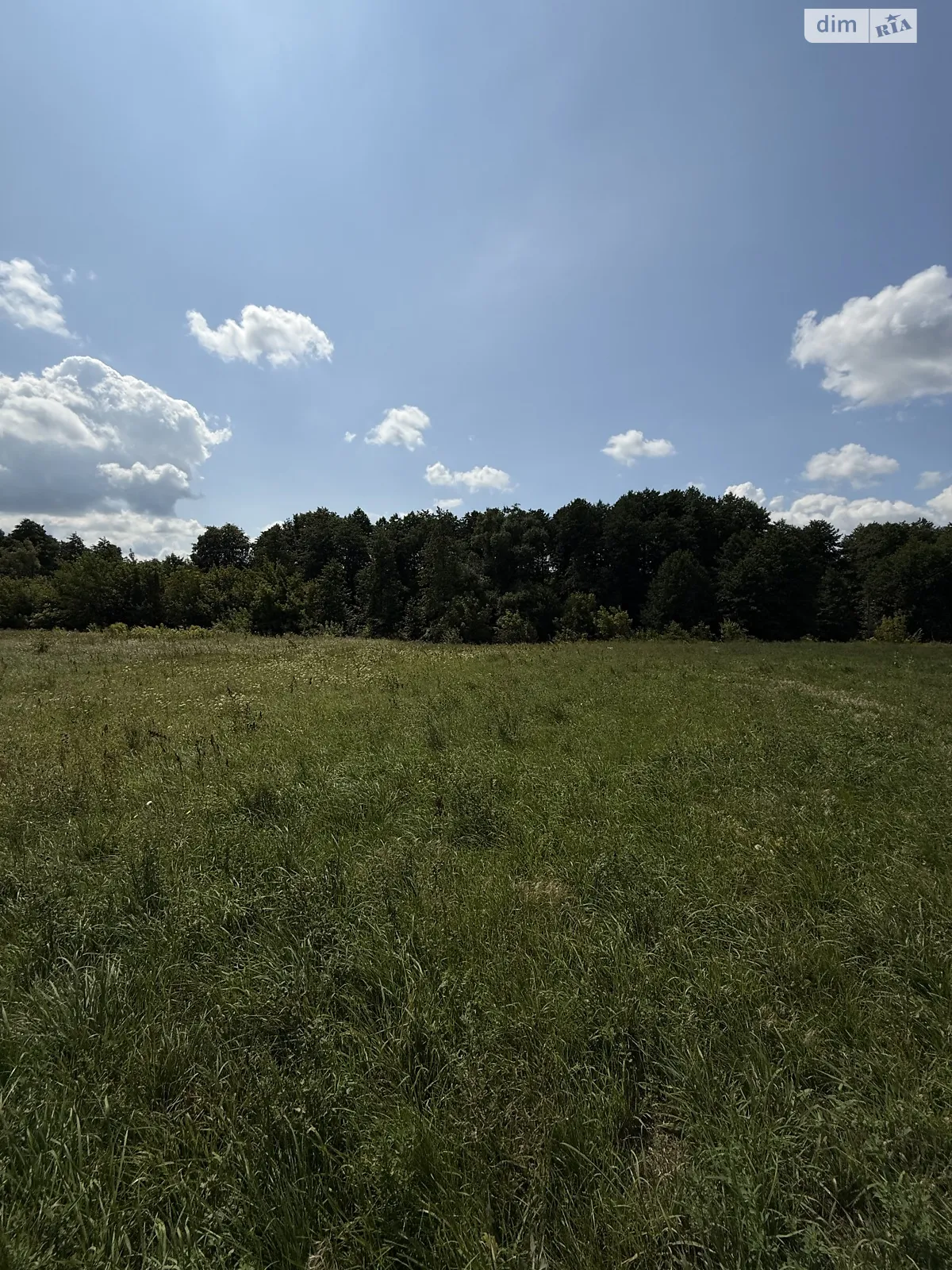 Продается земельный участок 24.98 соток в Киевской области, цена: 30000 $ - фото 1