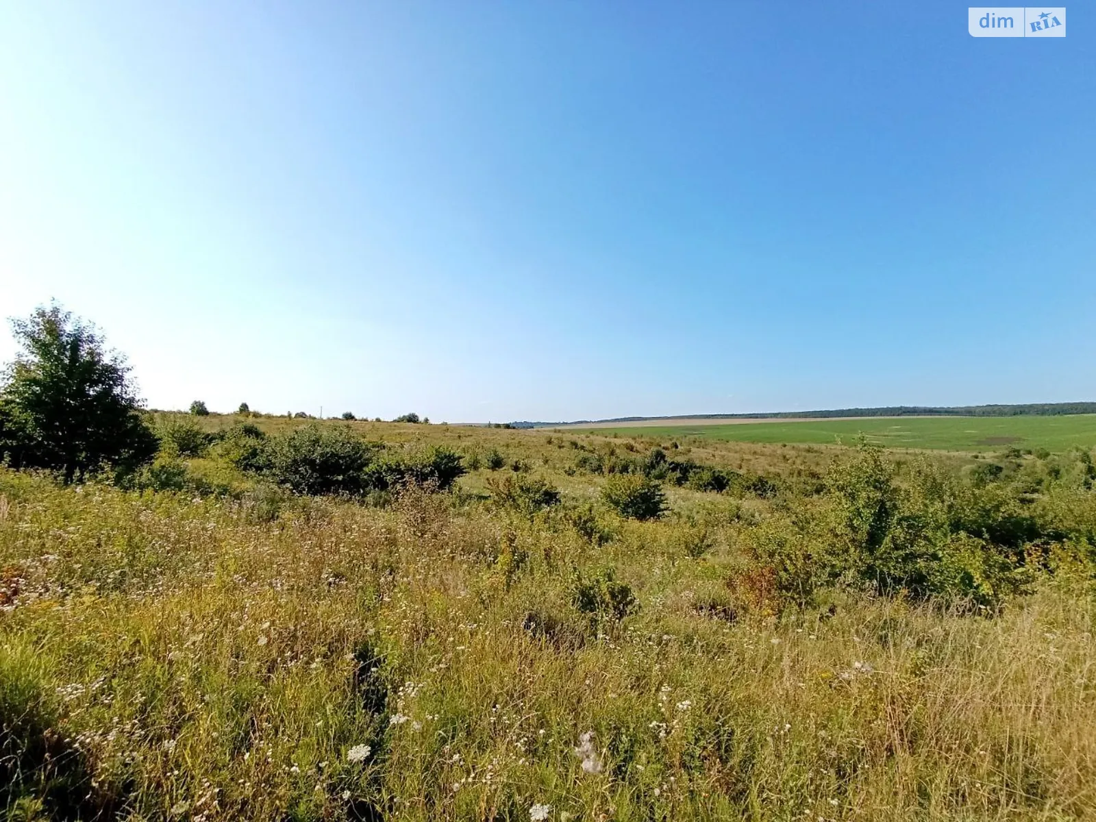 ул. Центральная Лесовые Гриновцы, цена: 5500 $ - фото 1