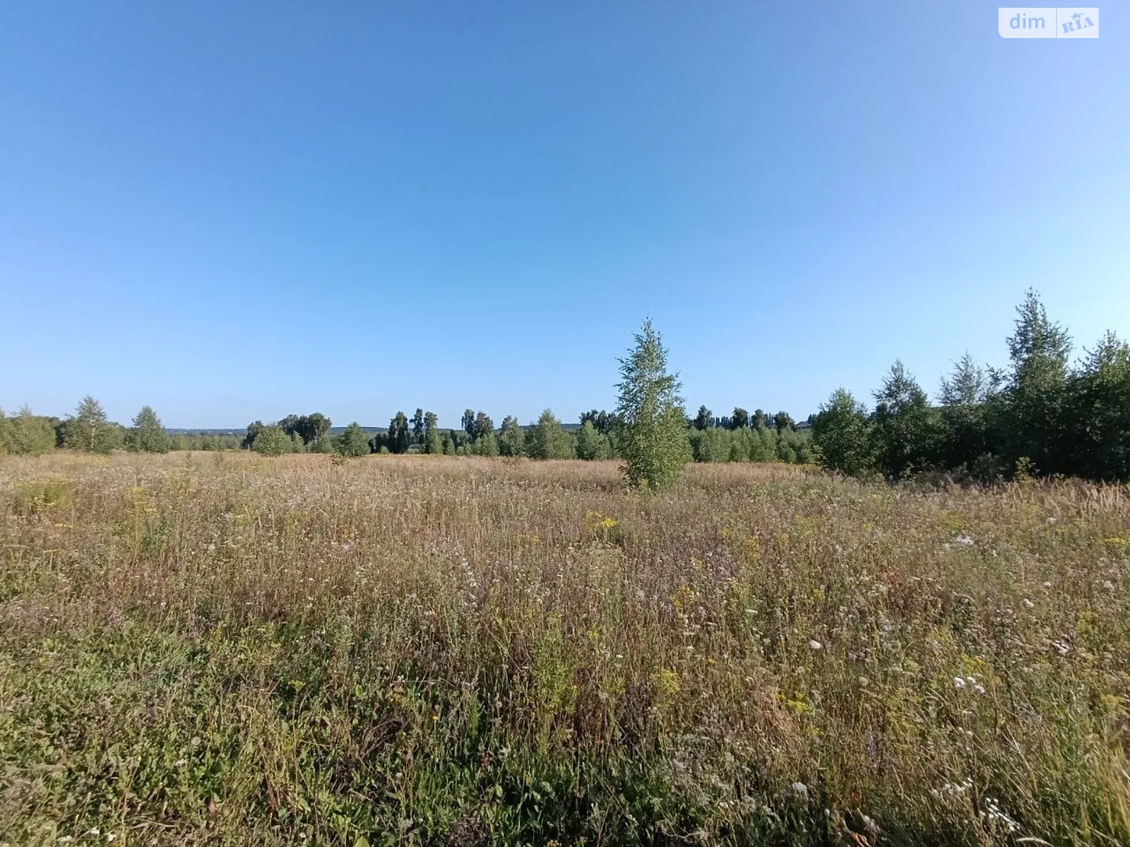 ул. Центральная Лесовые Гриновцы, цена: 8000 $ - фото 1