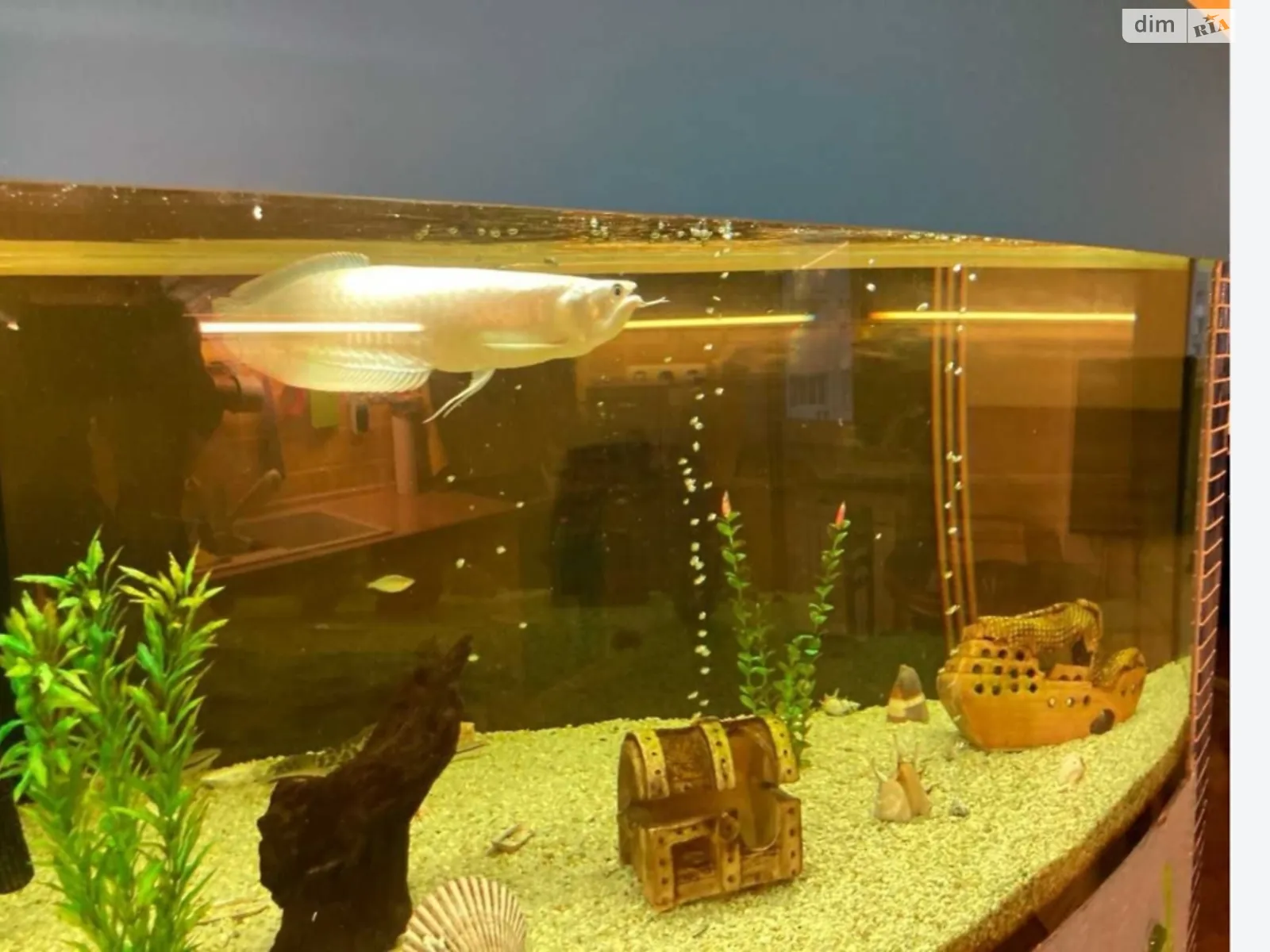 Сдается в аренду 1-комнатная квартира 46 кв. м в Киеве, просп. Николая Бажана, 26 - фото 1