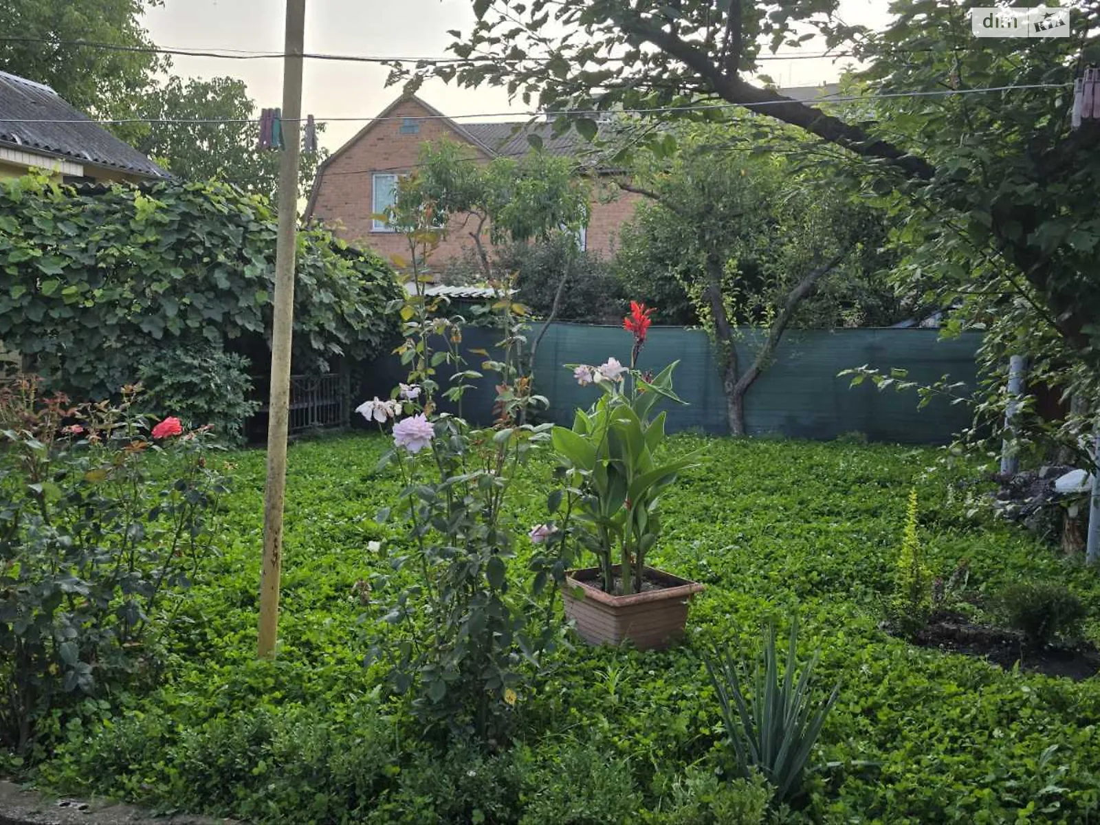 Здається в оренду одноповерховий будинок 150 кв. м з бесідкою, цена: 1000 $ - фото 1