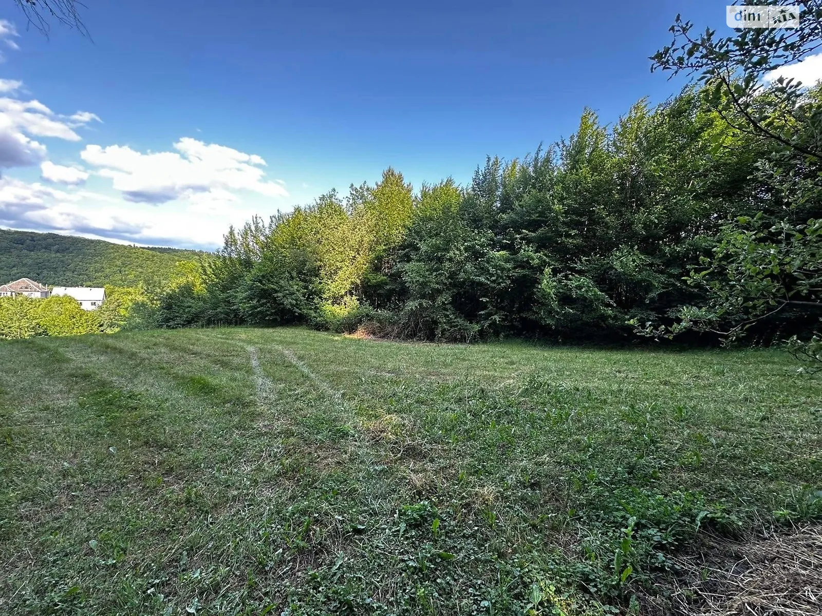 Продається земельна ділянка 10 соток у Закарпатській області, цена: 5000 $ - фото 1