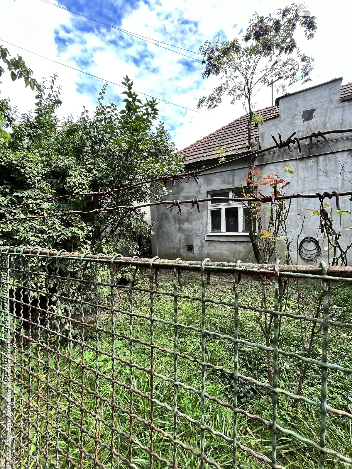 Продается одноэтажный дом 60 кв. м с беседкой, цена: 60000 $ - фото 1