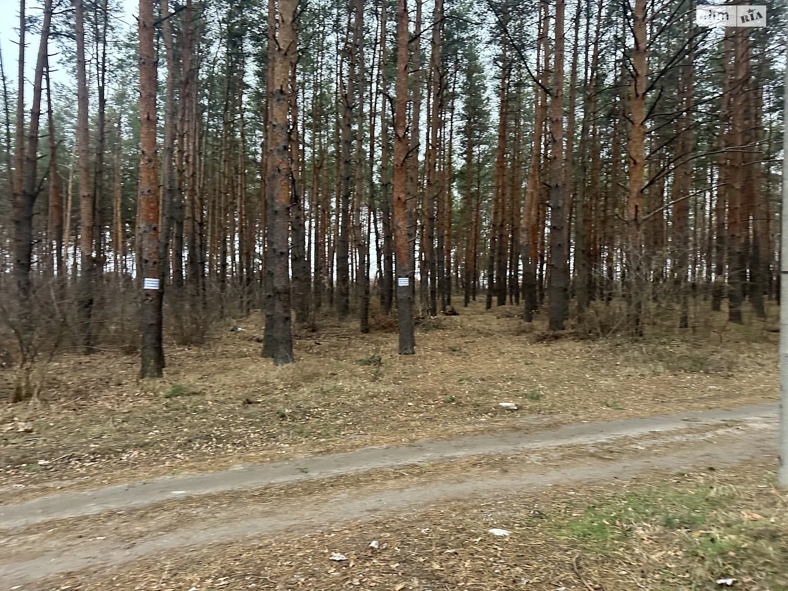 Продается земельный участок 25 соток в Днепропетровской области, цена: 37500 $ - фото 1