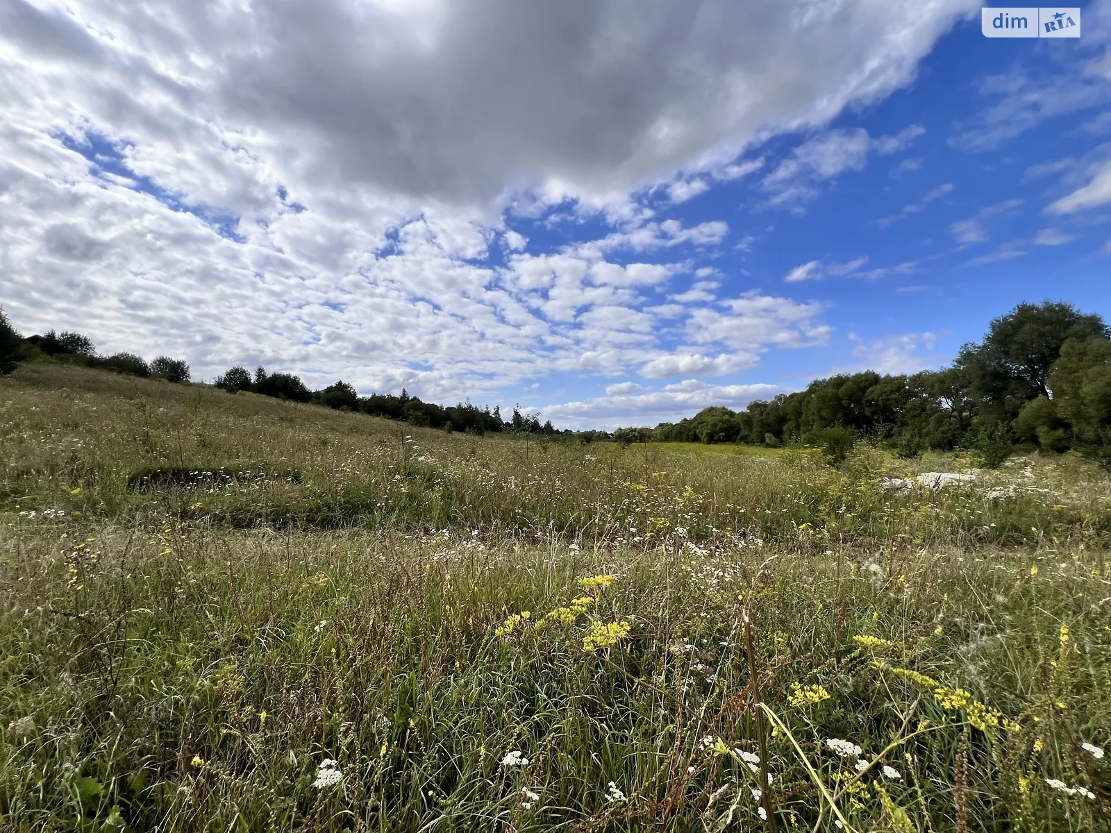 Продается земельный участок 3 соток в Тернопольской области, цена: 250000 $ - фото 1