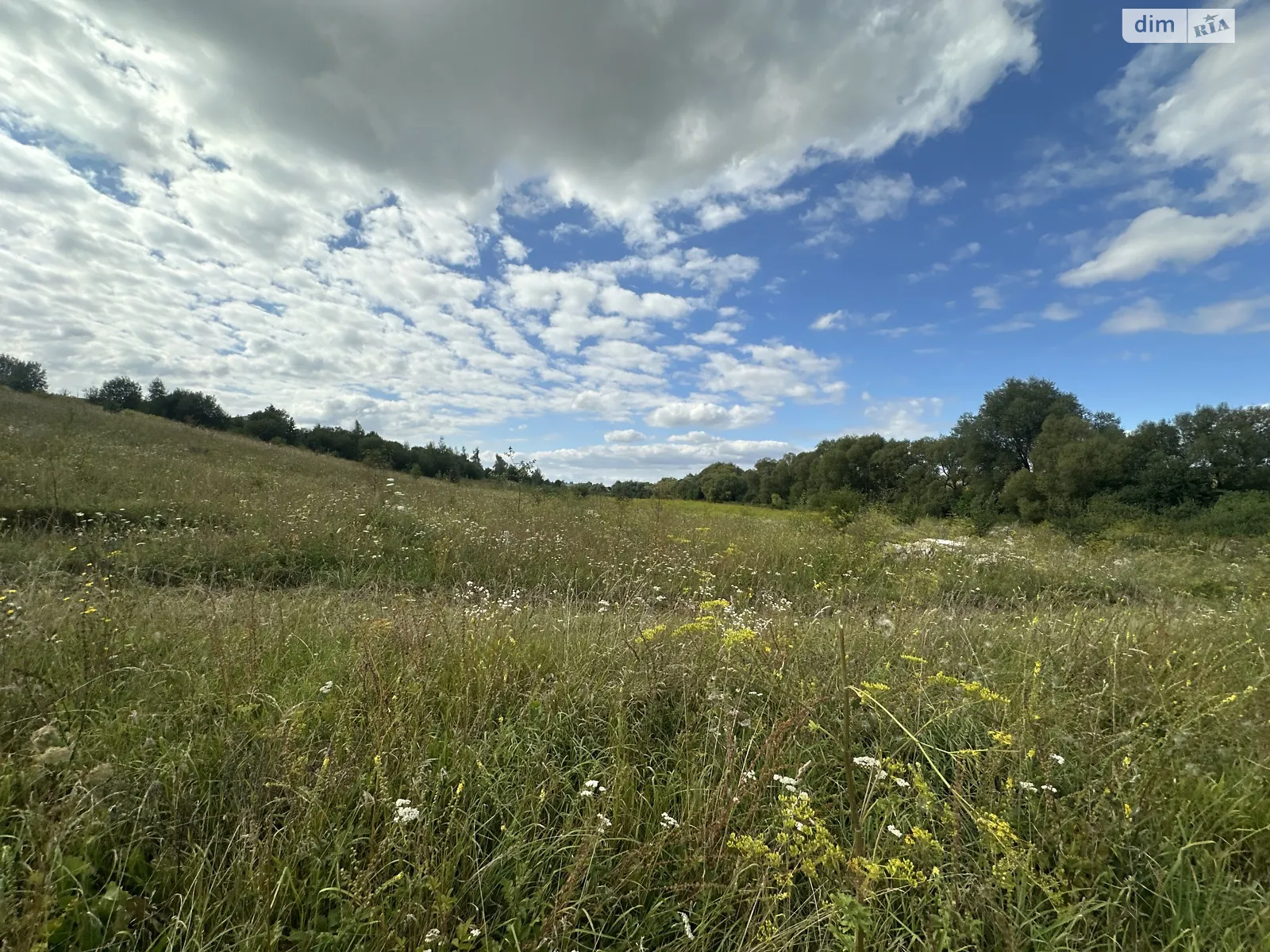 Продается земельный участок 3 соток в Тернопольской области, цена: 250000 $ - фото 1