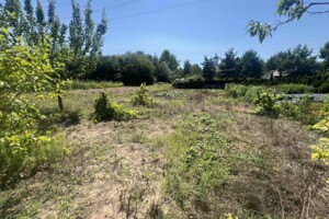 Продажа дома, Тернопольская, Била, Чиста, дом 8