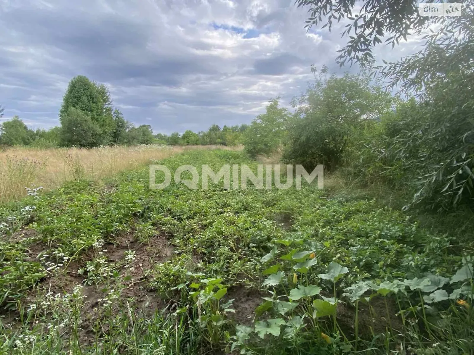 ул. Леси Украинки Кошелево, цена: 7500 $ - фото 1