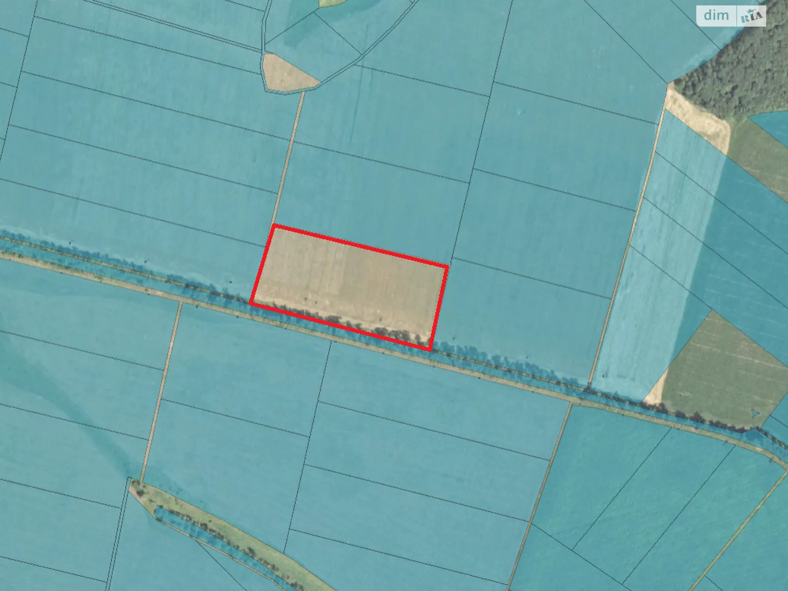 Сдается в аренду земельный участок 3.8442 соток в Сумской области, цена: 14091 грн - фото 1