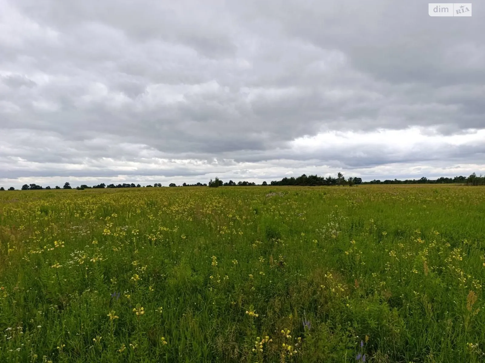 Сдается в аренду земельный участок 14.7047 соток в Ровенской области, цена: 21503 грн - фото 1