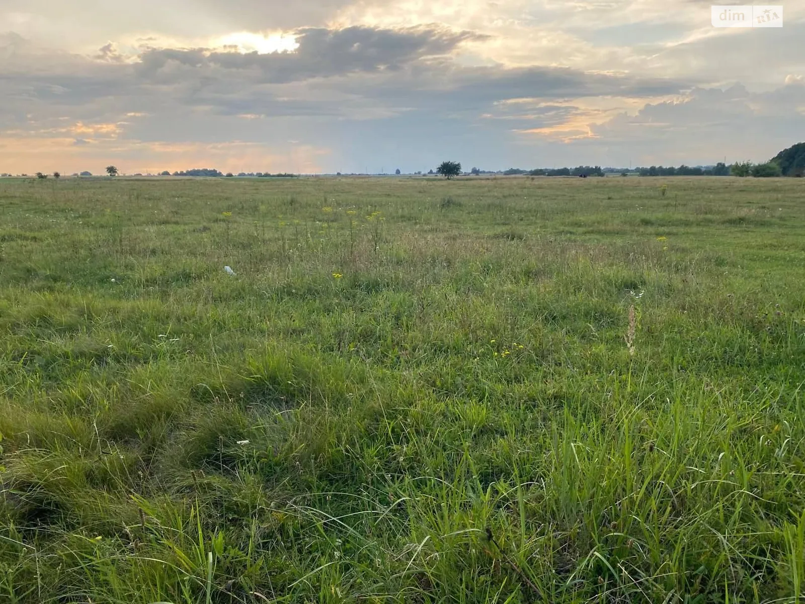 Сдается в аренду земельный участок 3.7062 соток в Ровенской области, цена: 2650 грн - фото 1