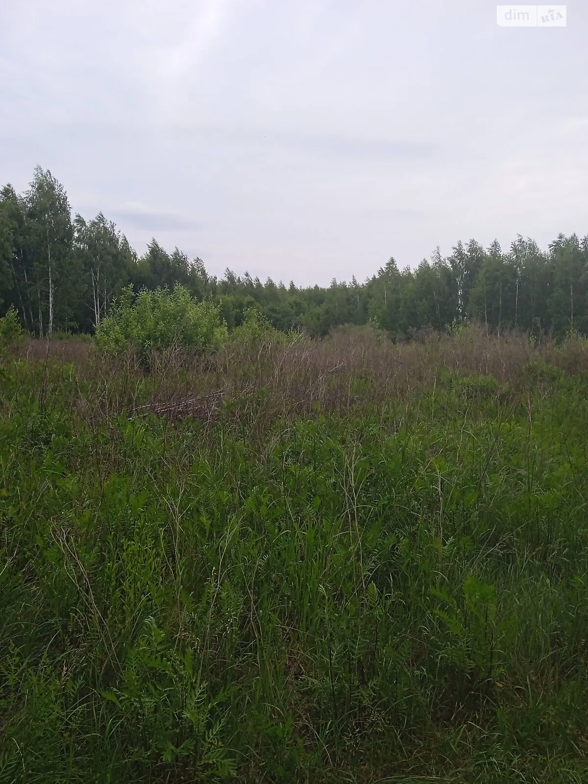 Сдается в аренду земельный участок 5.5813 соток в области, цена: 9386 грн - фото 1