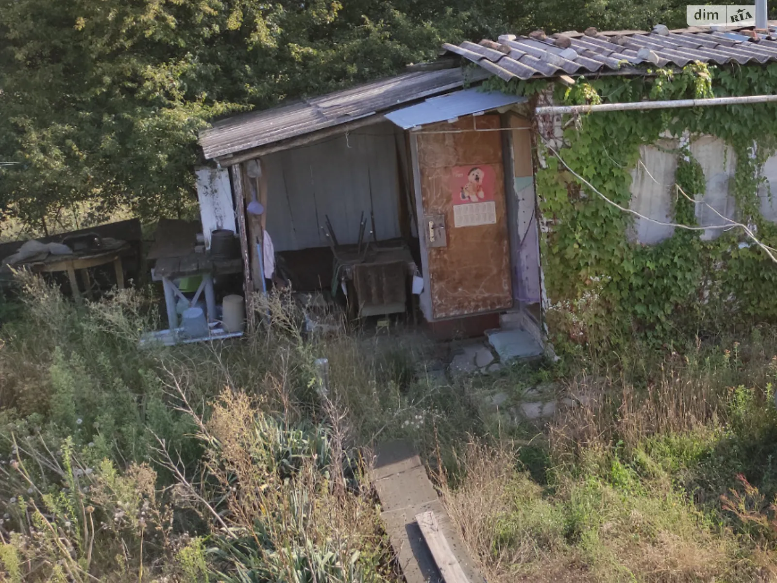 мас. Тясмин Чернявка, цена: 5000 $ - фото 1